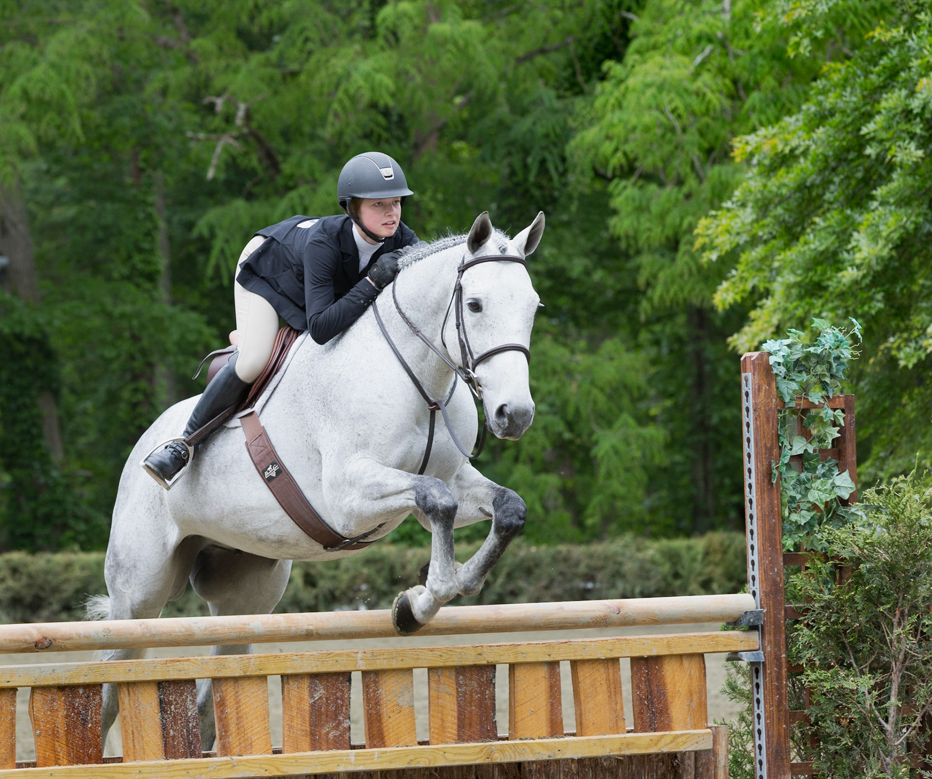 Looking good at the Keswick Horse Show, horse jump