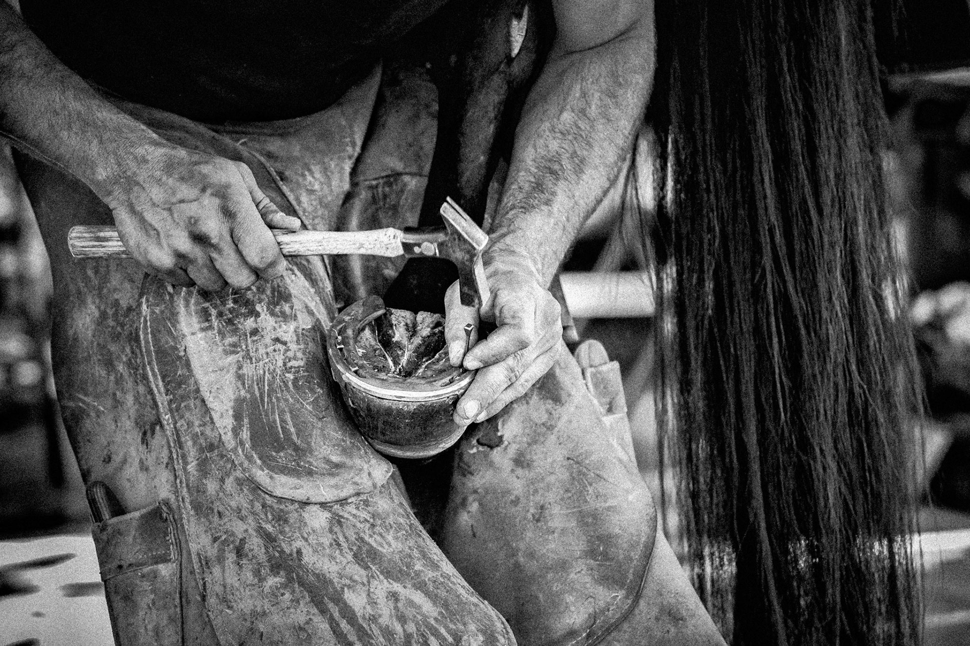 A farrier shoeing a hourse at a horseshow