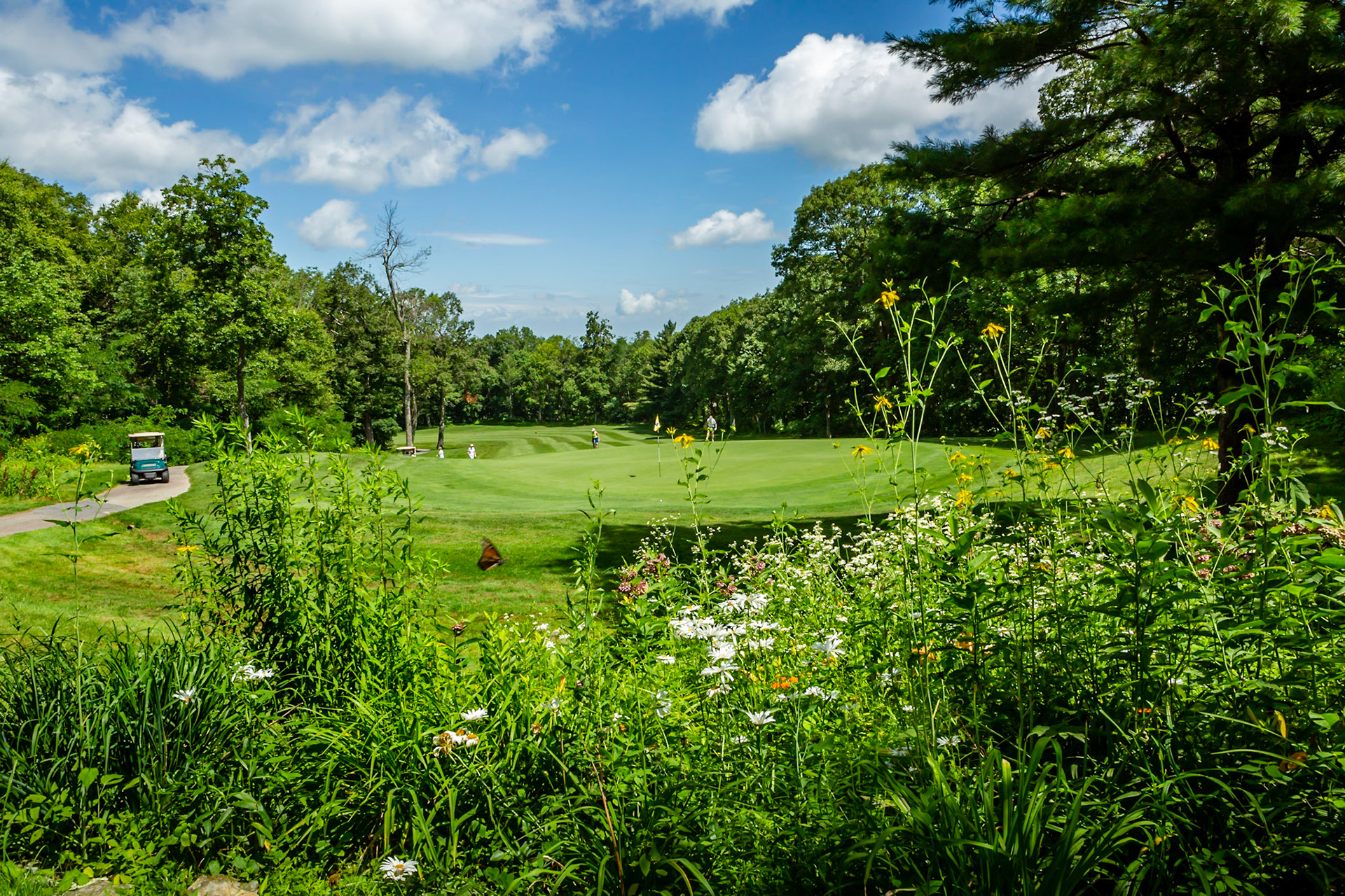 Devils Knob at Wintergreen golf course