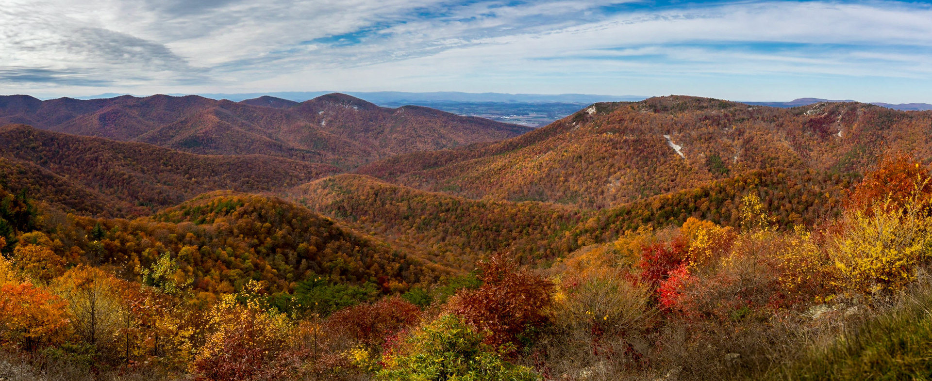Nature showing her colors along the Skyline Drive