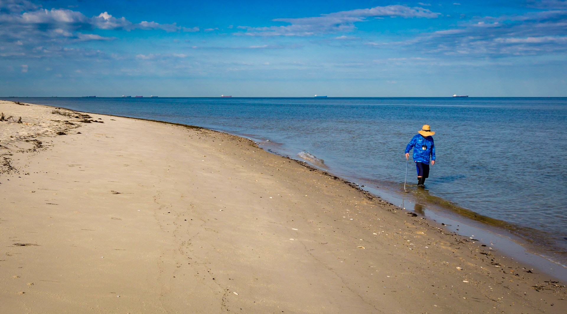 A man combing the beach