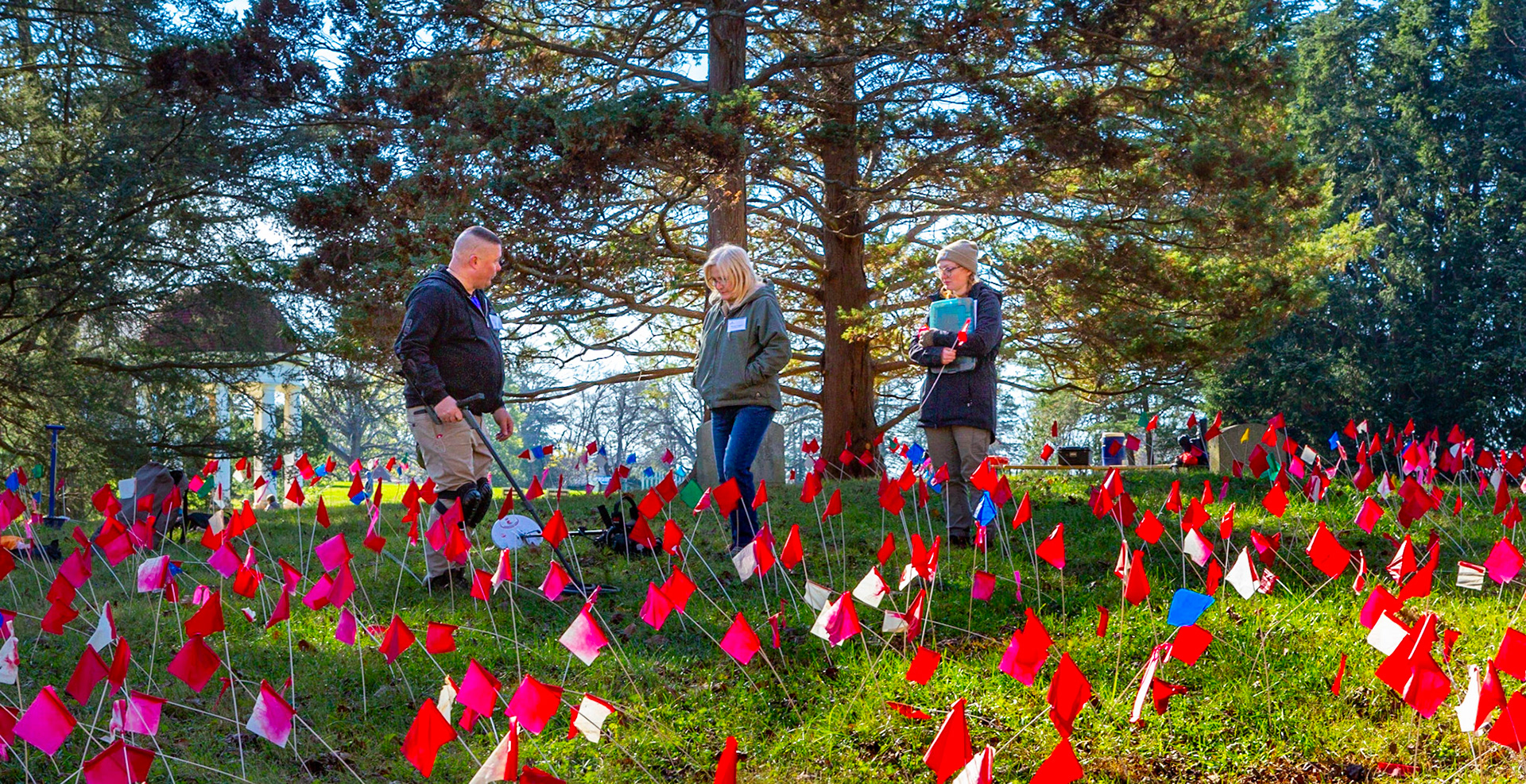 A sea of flags from a week of metal dectection at Montpelier