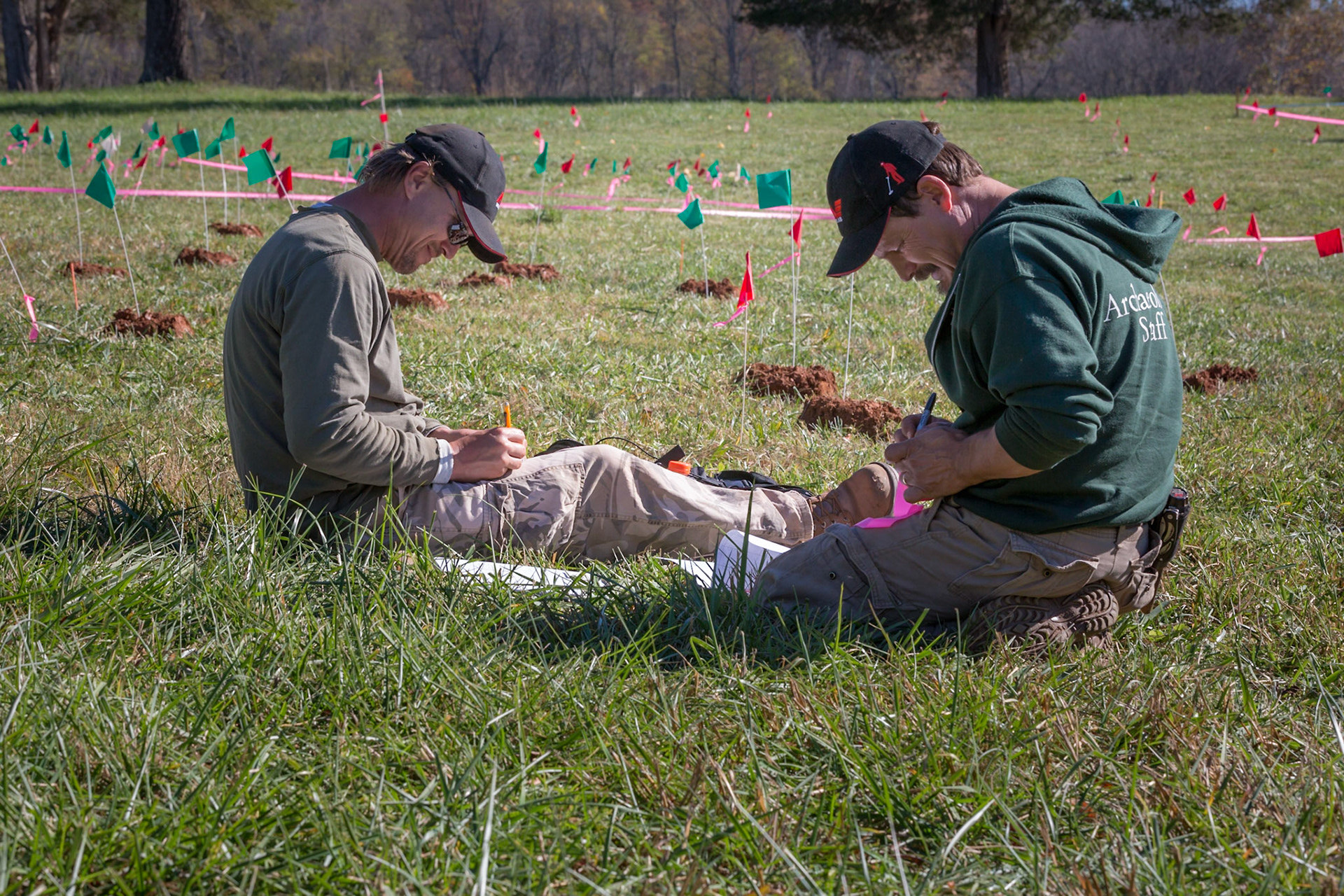Dig at Montpelier, it's all in the details