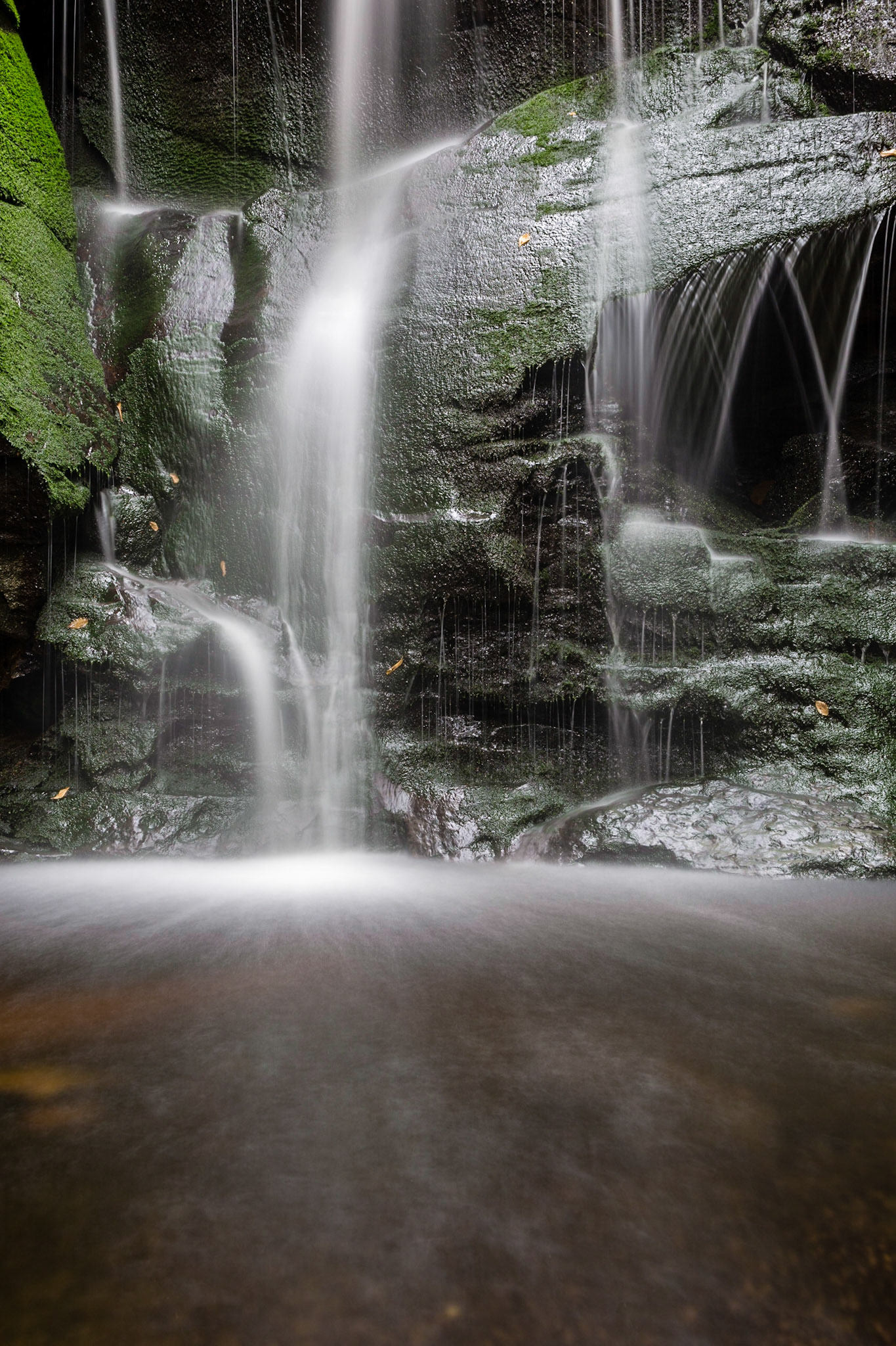Falls in Blackwater Falls State Park in WV