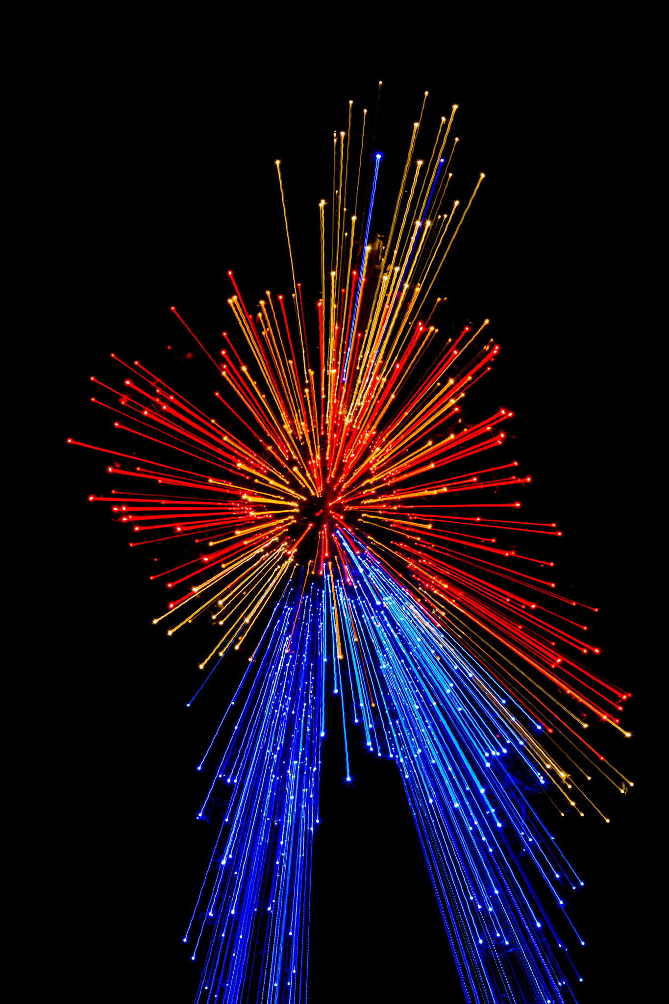 Botanical Garden in Richmond