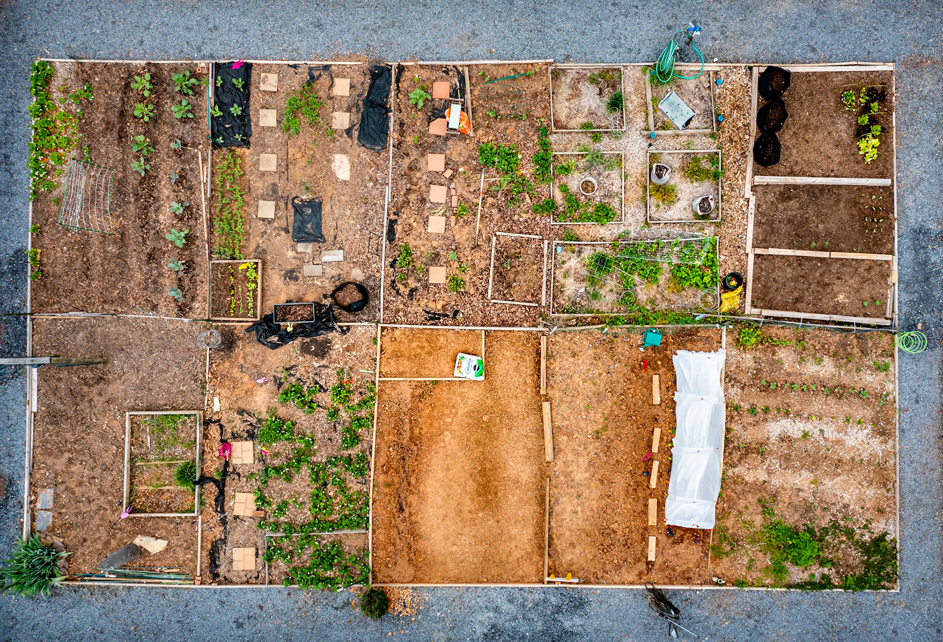 Aerial view of garden plots