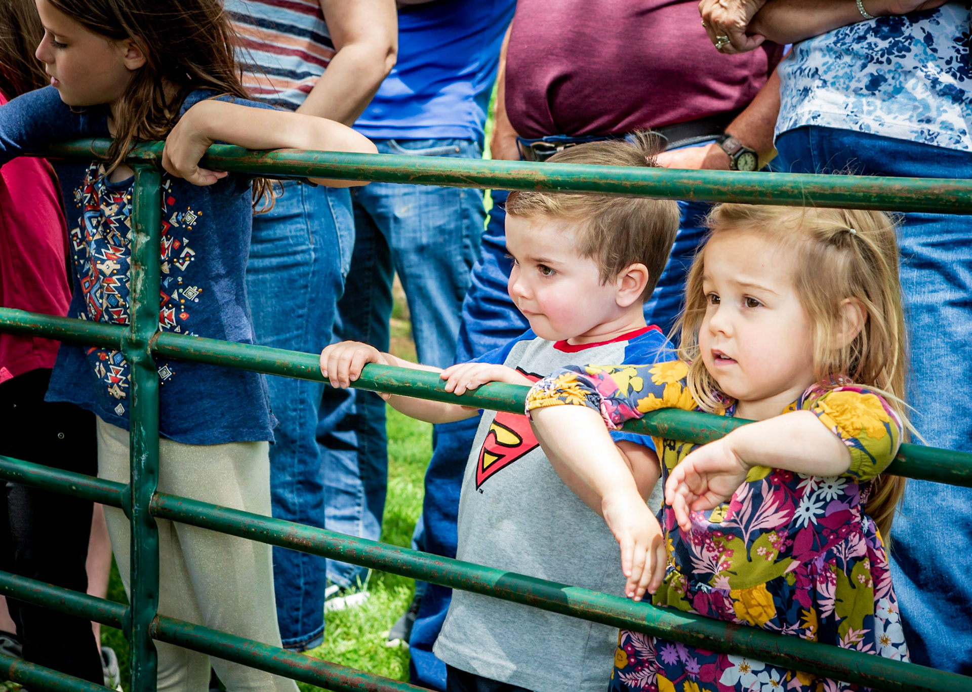 Young boy and girl intensely watching