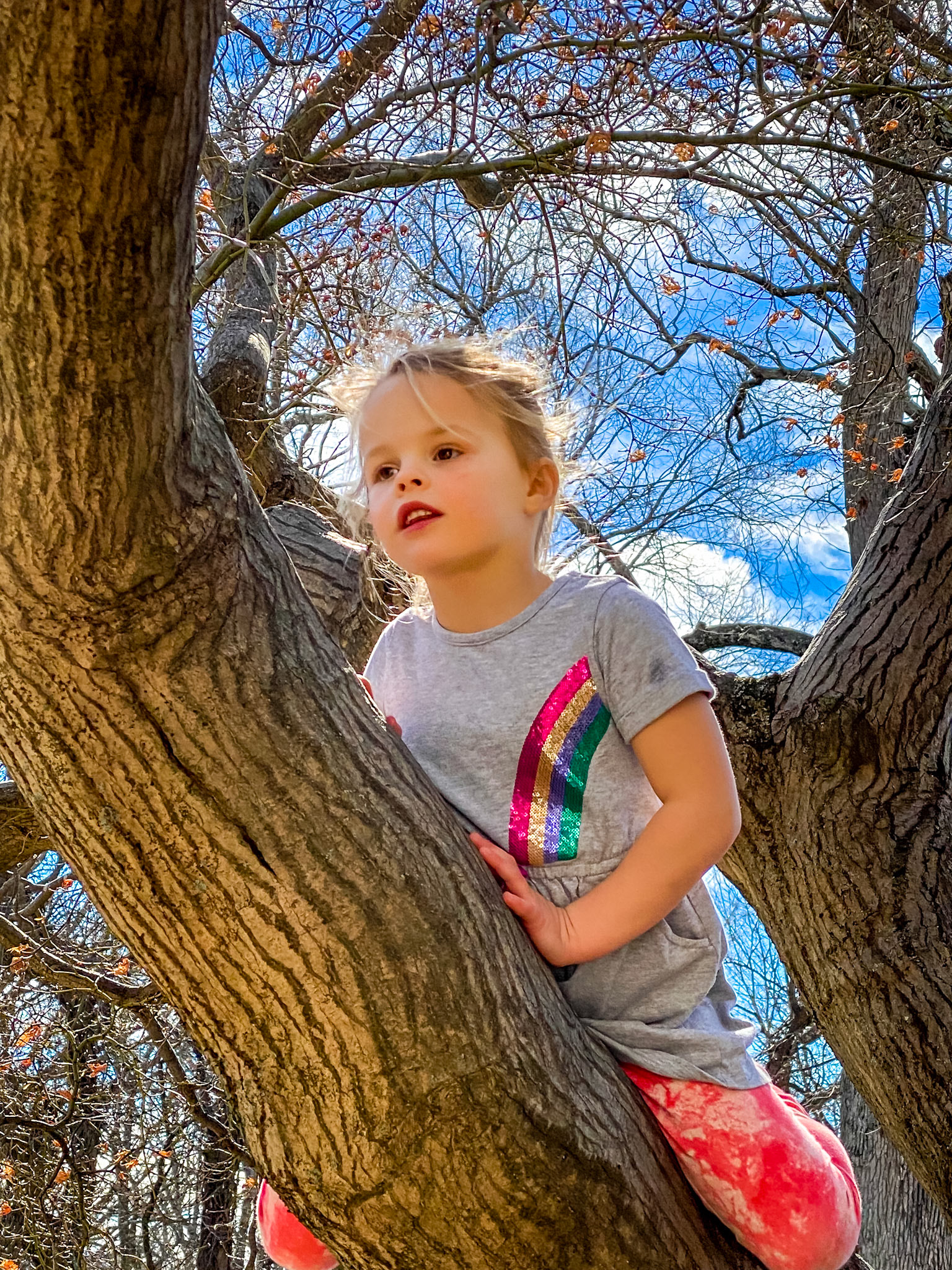 Young girl in tree