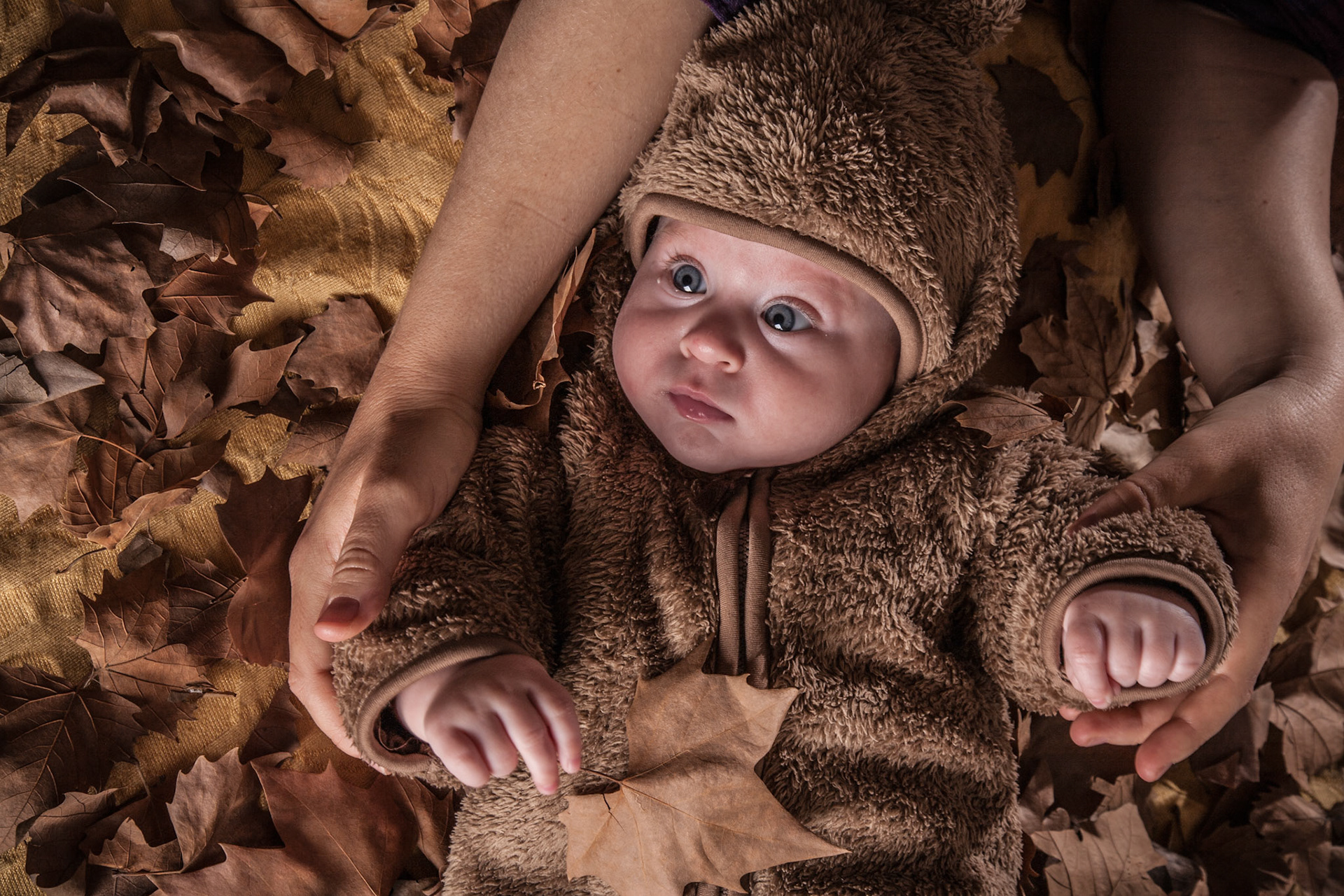 FOTOS MIGUEL PASCUAL ©