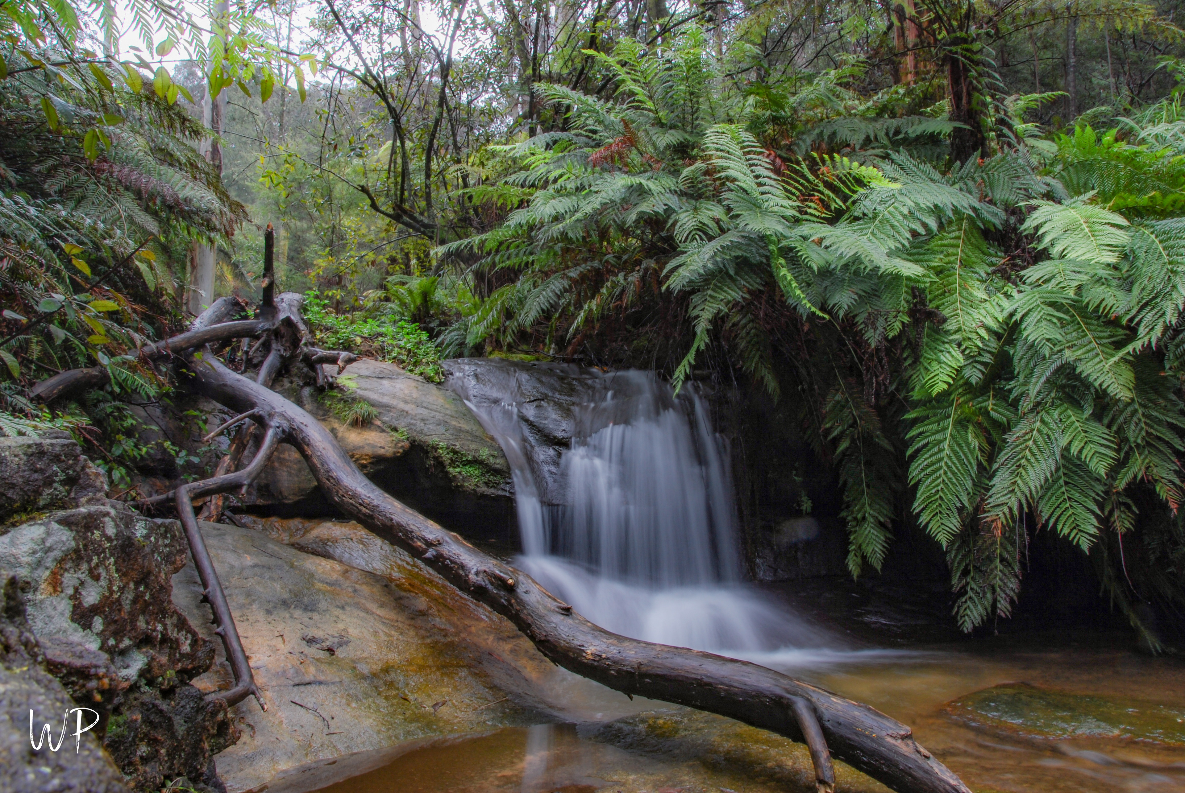 Leura Cascades trail