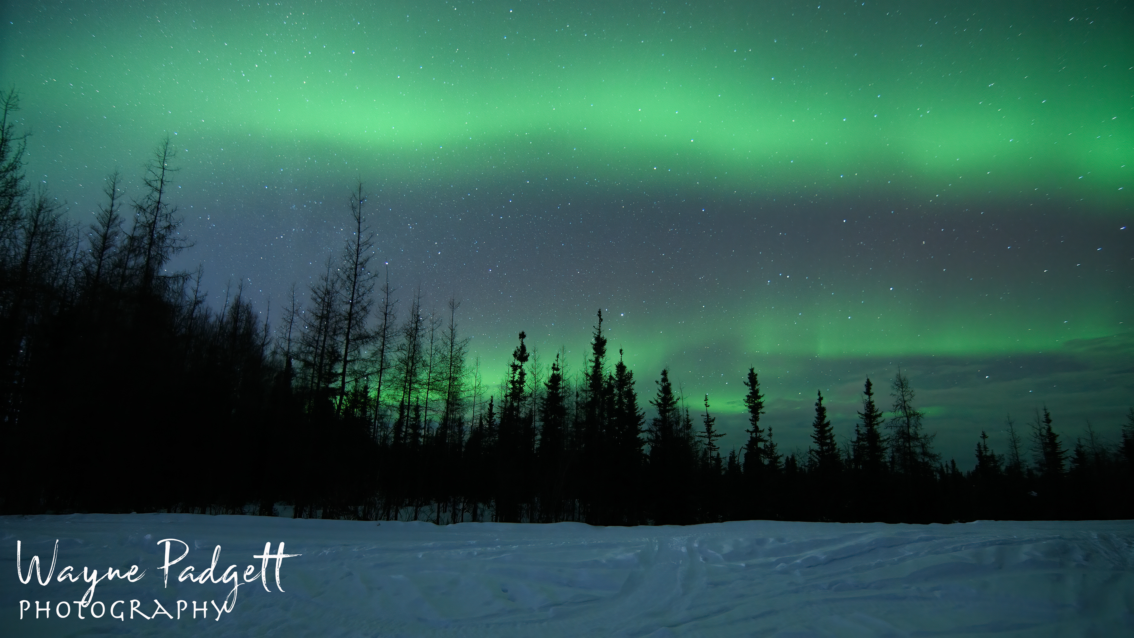 Aurora Borealis at Chena Lakes Recreation Area near North Pole, Alaska