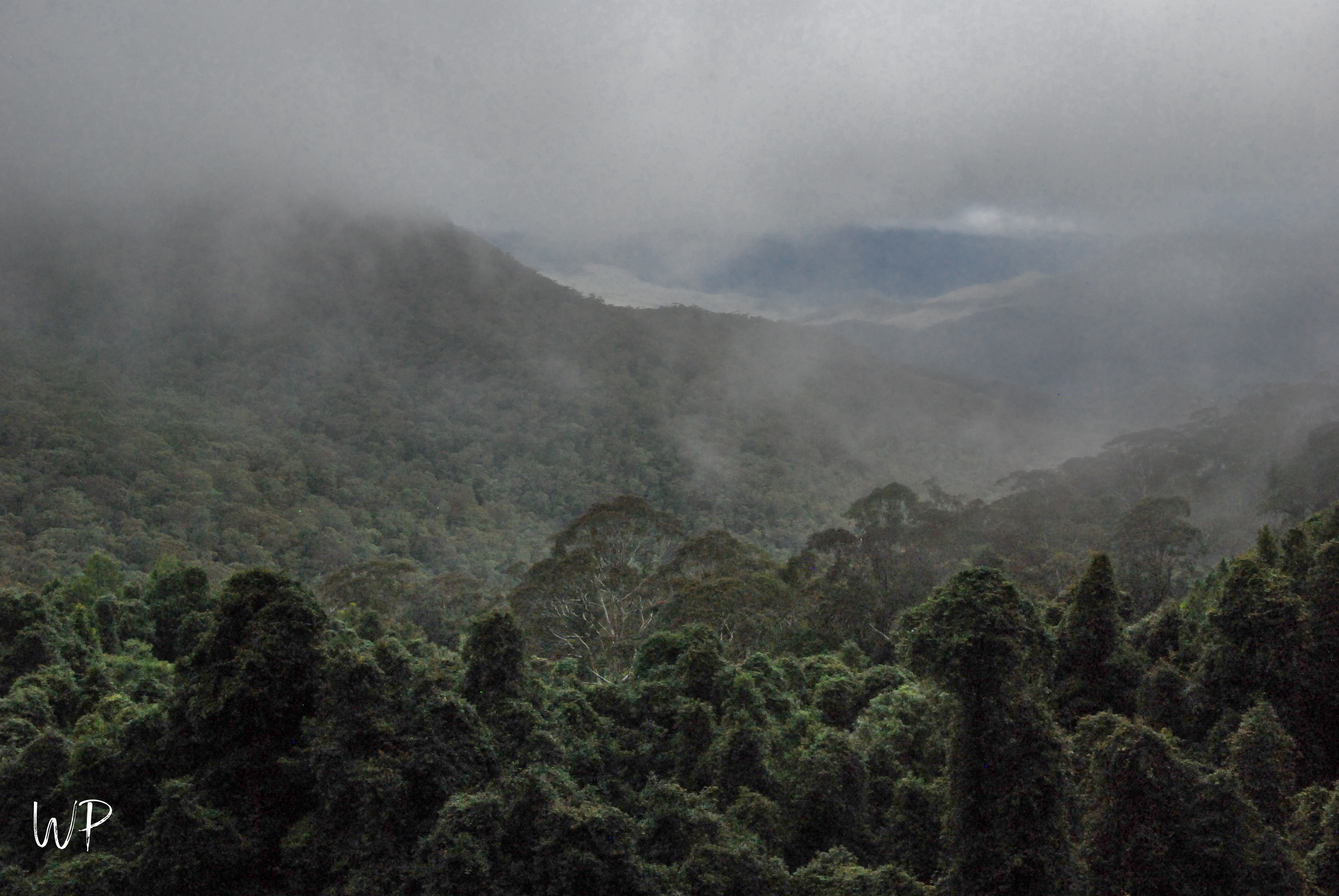 Blue Mountains