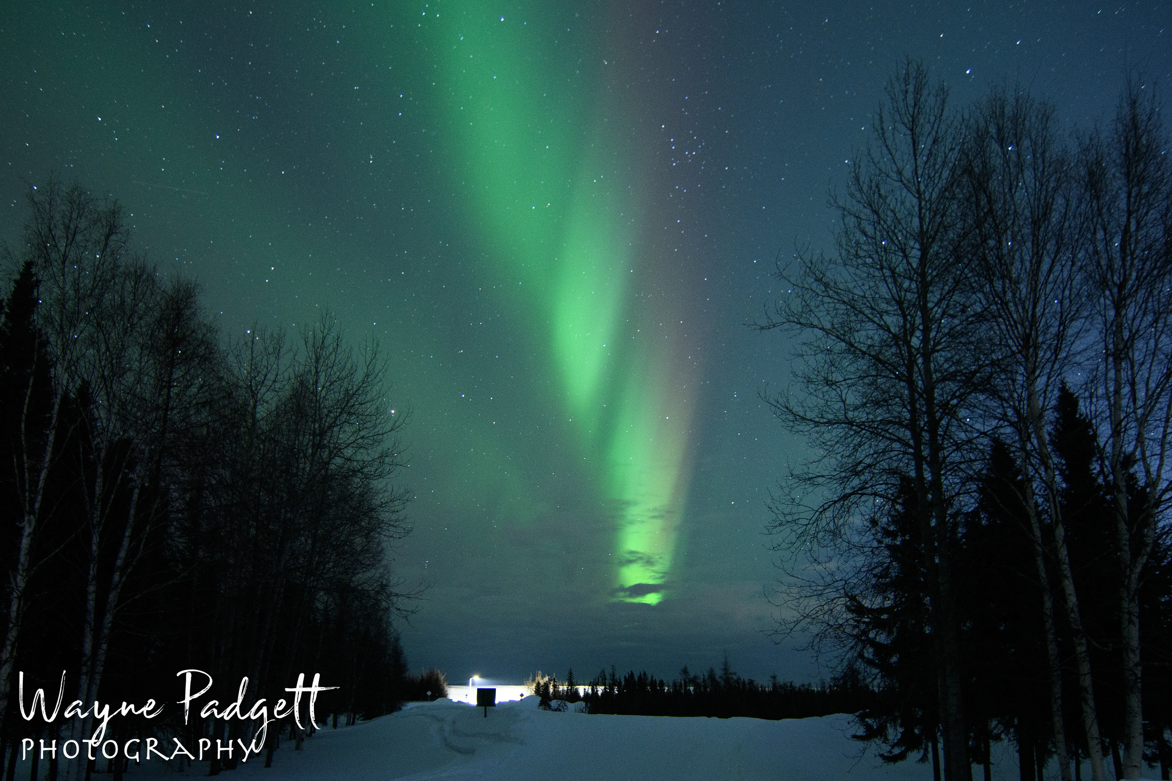 Aurora Borealis at Chena Lakes Recreation Area near North Pole, Alaska