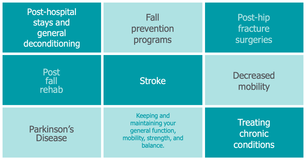 List of Services: Post-hospital stays and general deconditioning Post-hip fracture surgeries Fall prevention programs Post fall rehab Stroke Parkinson’s Disease Decreased mobility Keeping and maintaining your general function, mobility, strength, and balance. Treating chronic conditions