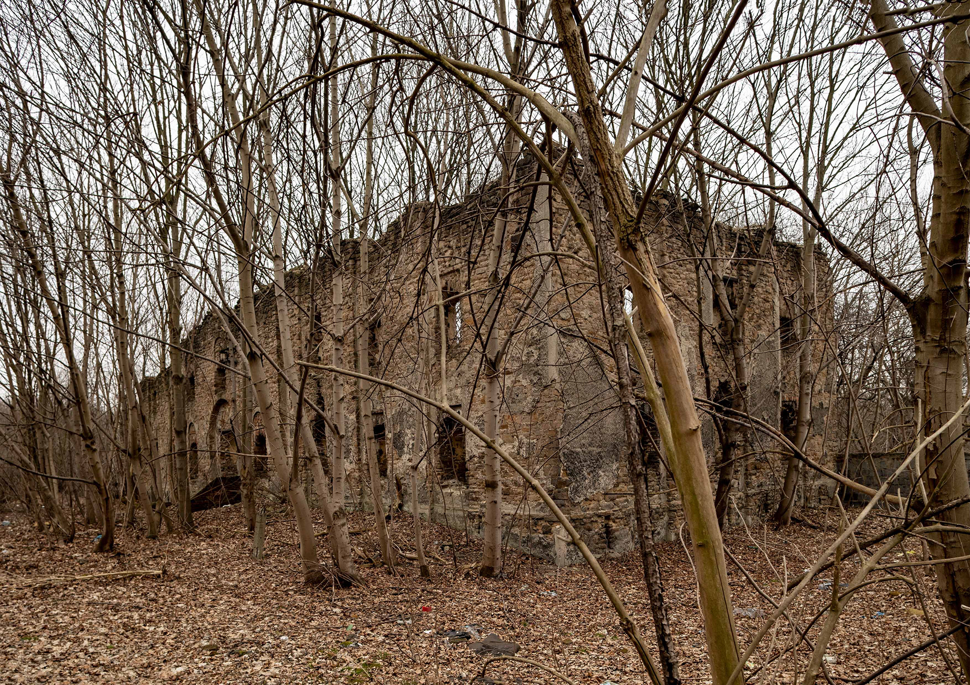 Ruiny spichlerza z XVII w. Biskupice