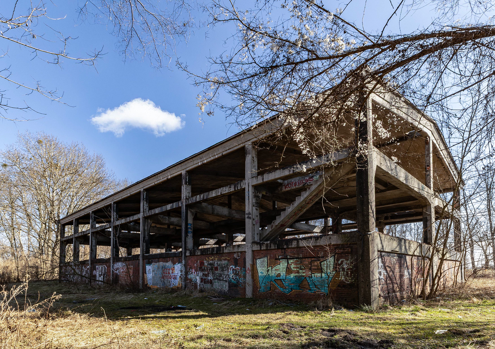 Ruiny hali krystalizacji naftalenów Zabrze
