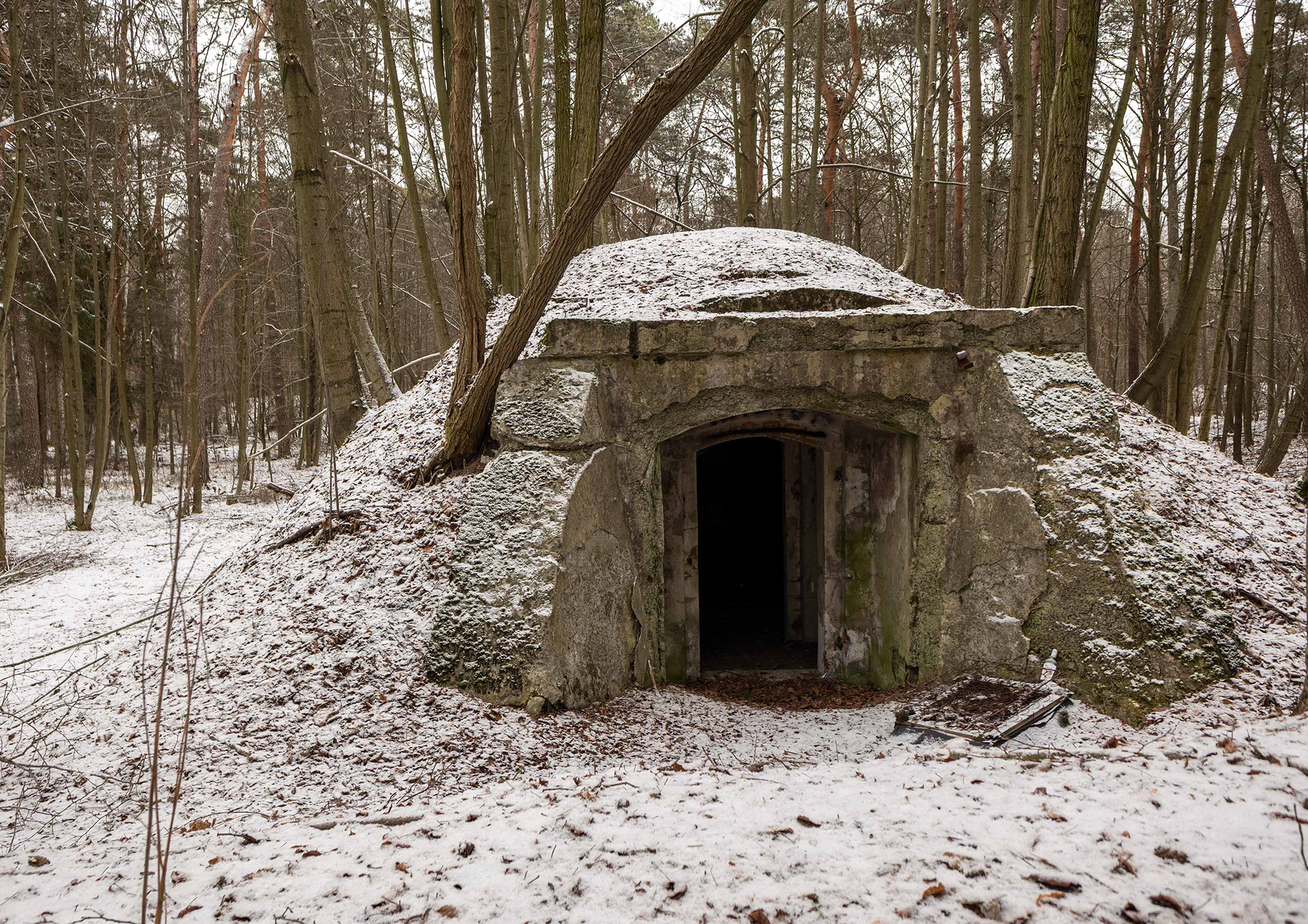  Papiernia Boruszowice