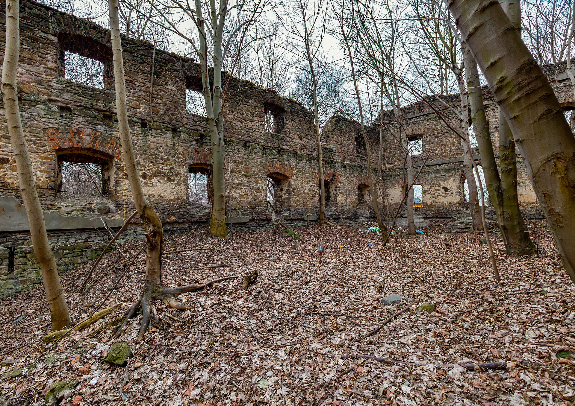 Ruiny spichlerza z XVII w. Biskupice