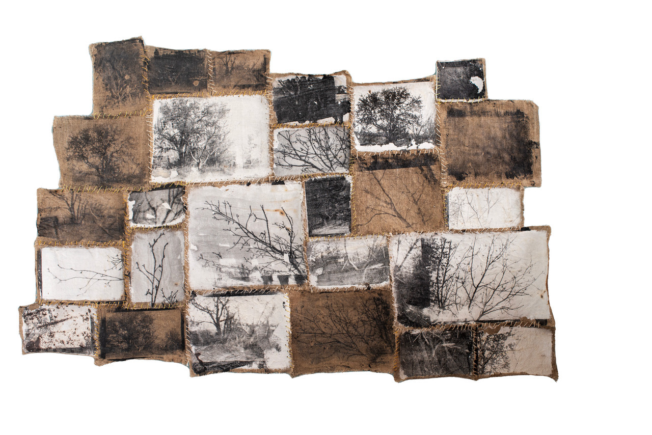 Memory 04. - One tree / 53 x 83 cm, mixed technique, canvas