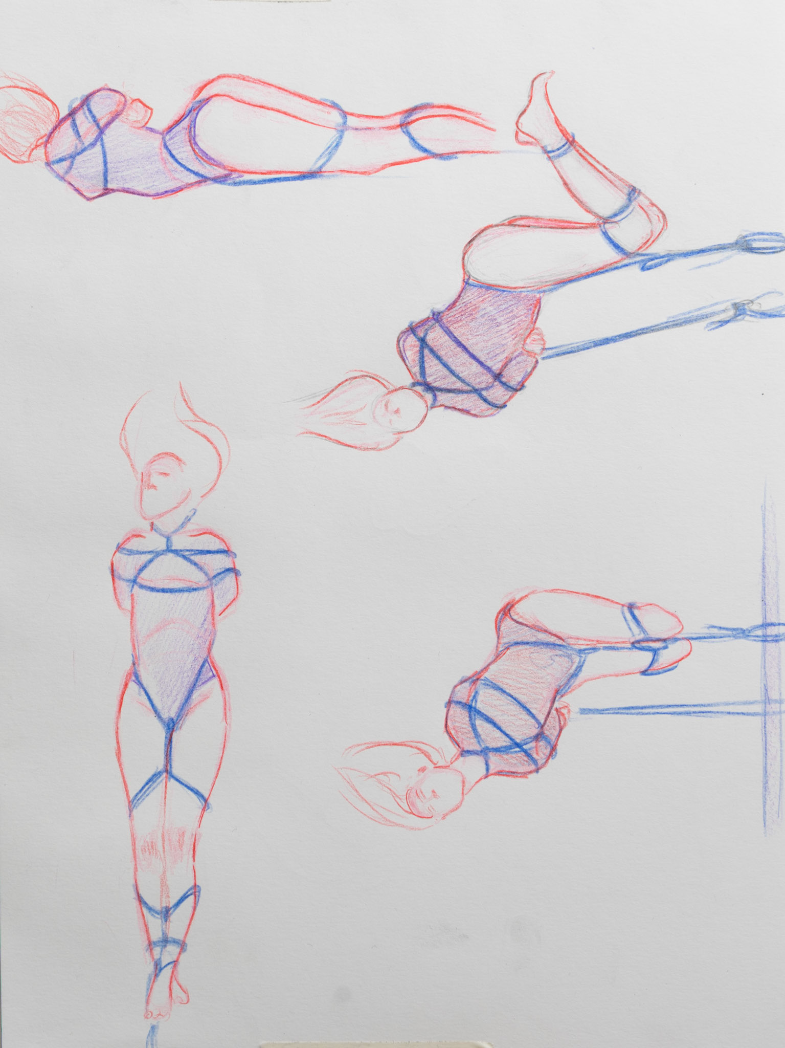 Disegno dal vero shibari 5