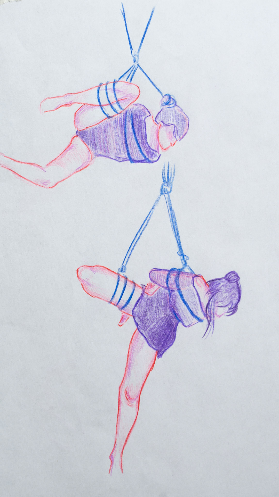 Disegno dal vero shibari