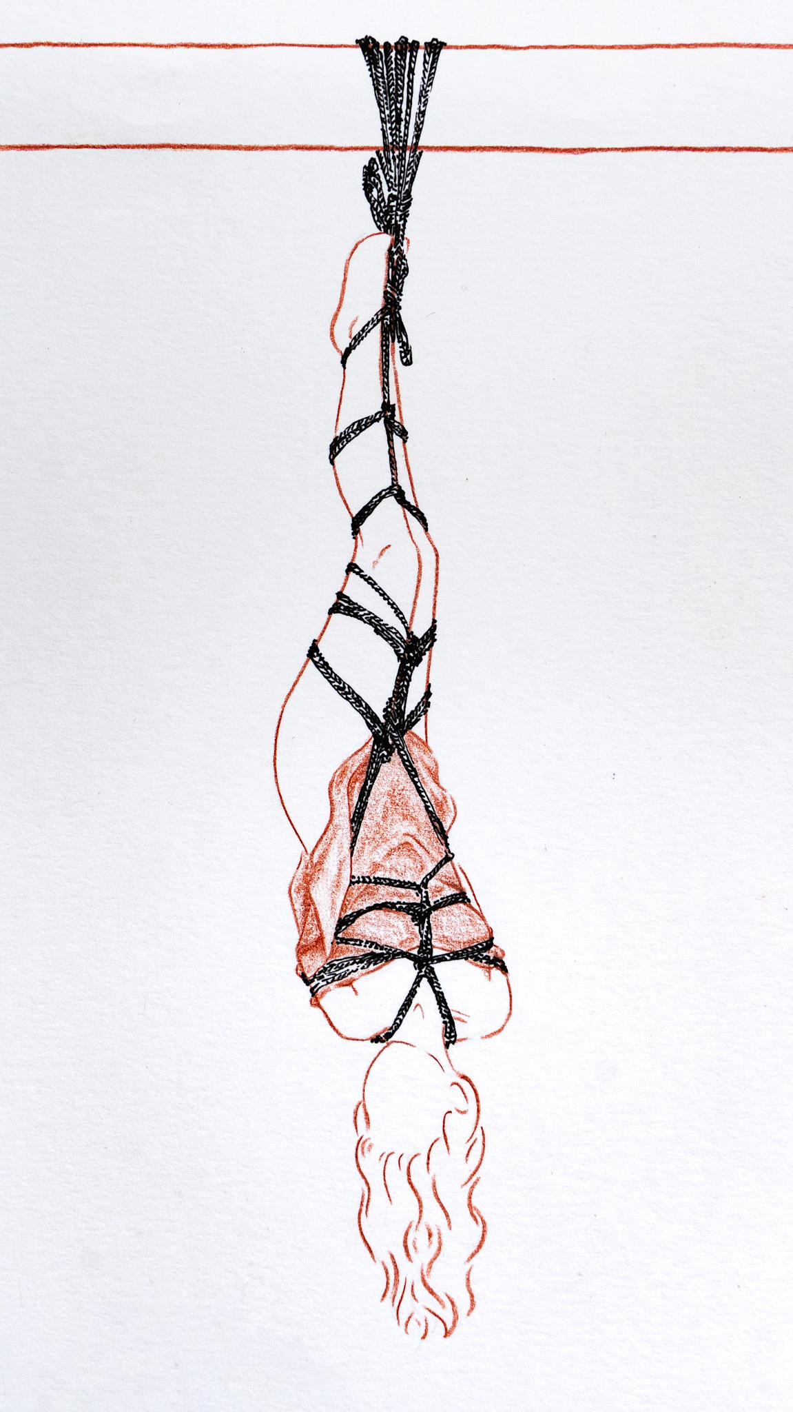 Disegno dal vero shibari 4