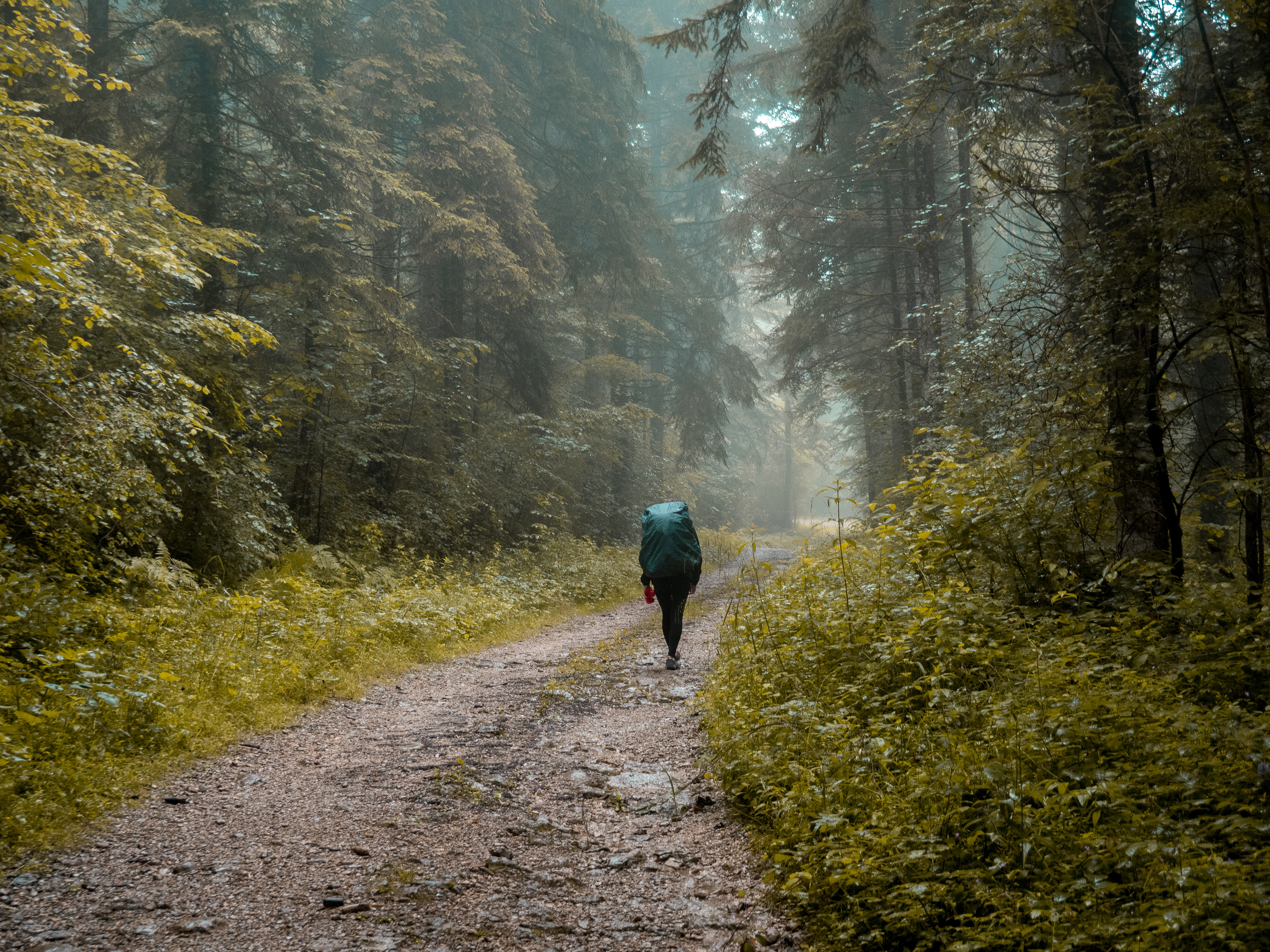 -Marchant, chemin faisant-