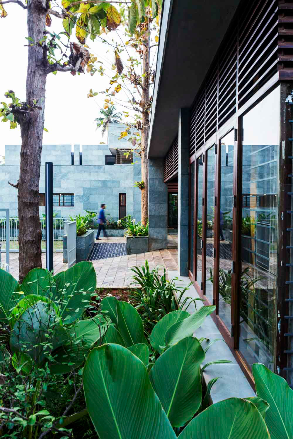 Three Trees - Architecture Photography