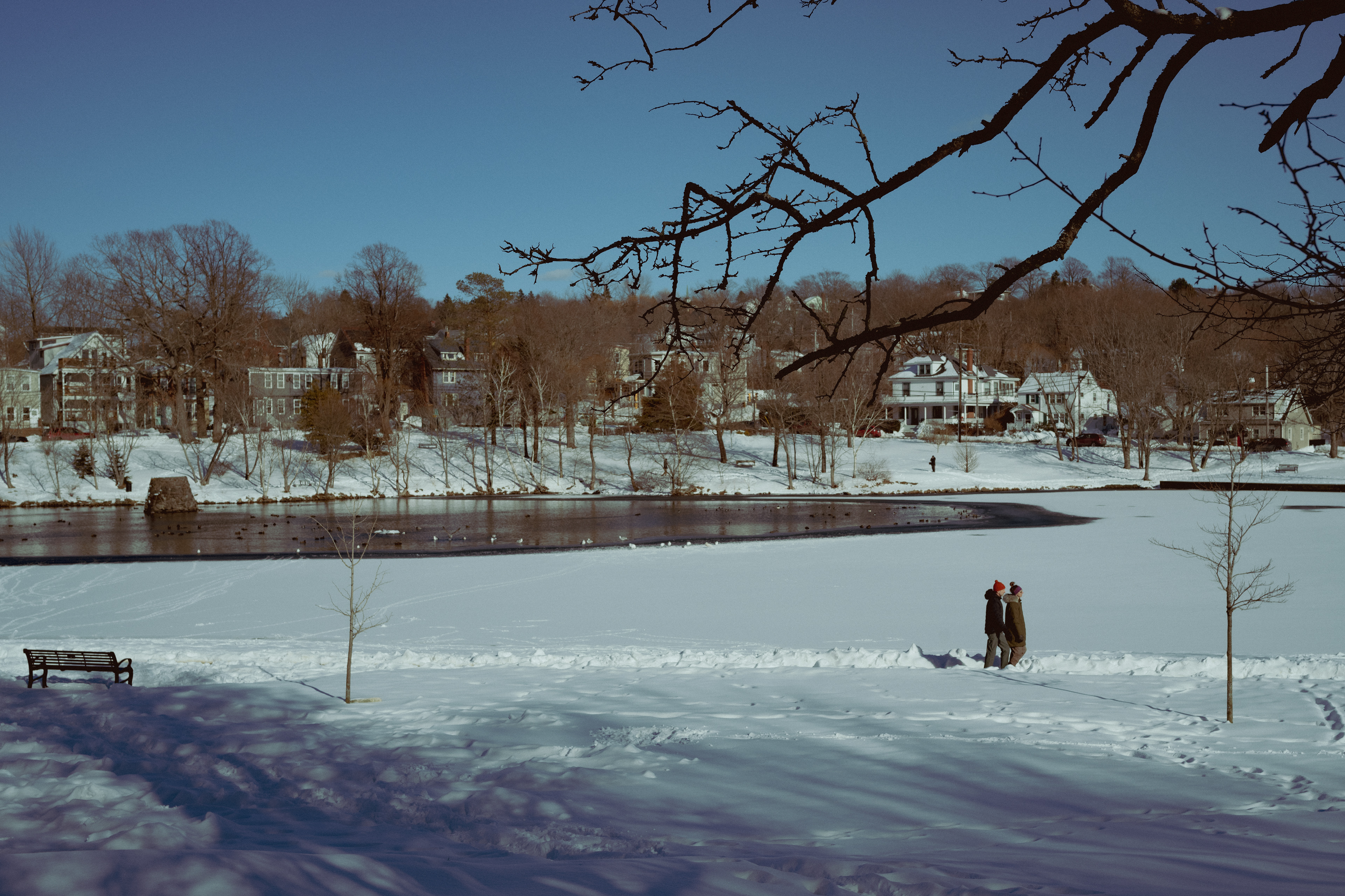 Sullivan's Pond