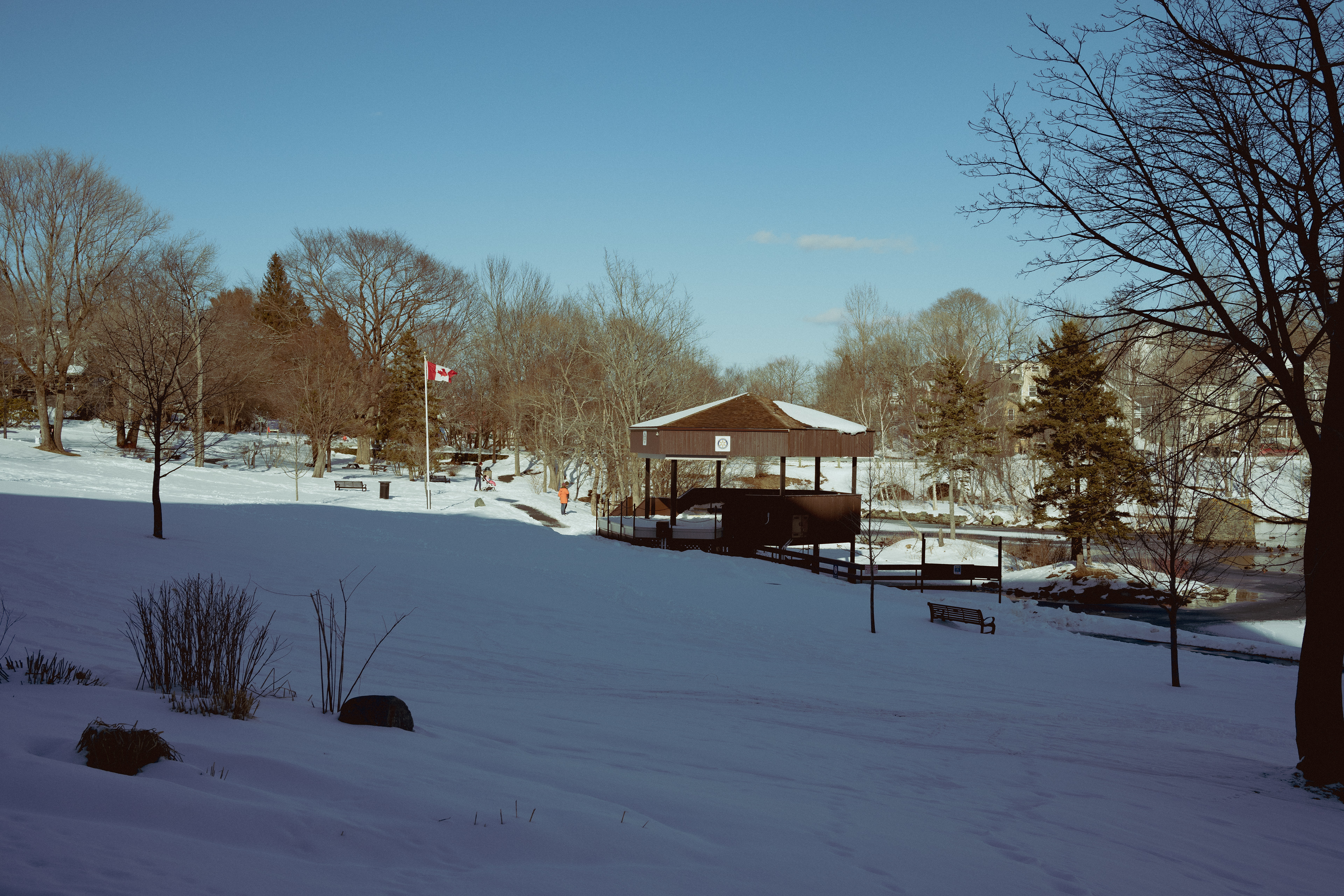 Sullivan's Pond