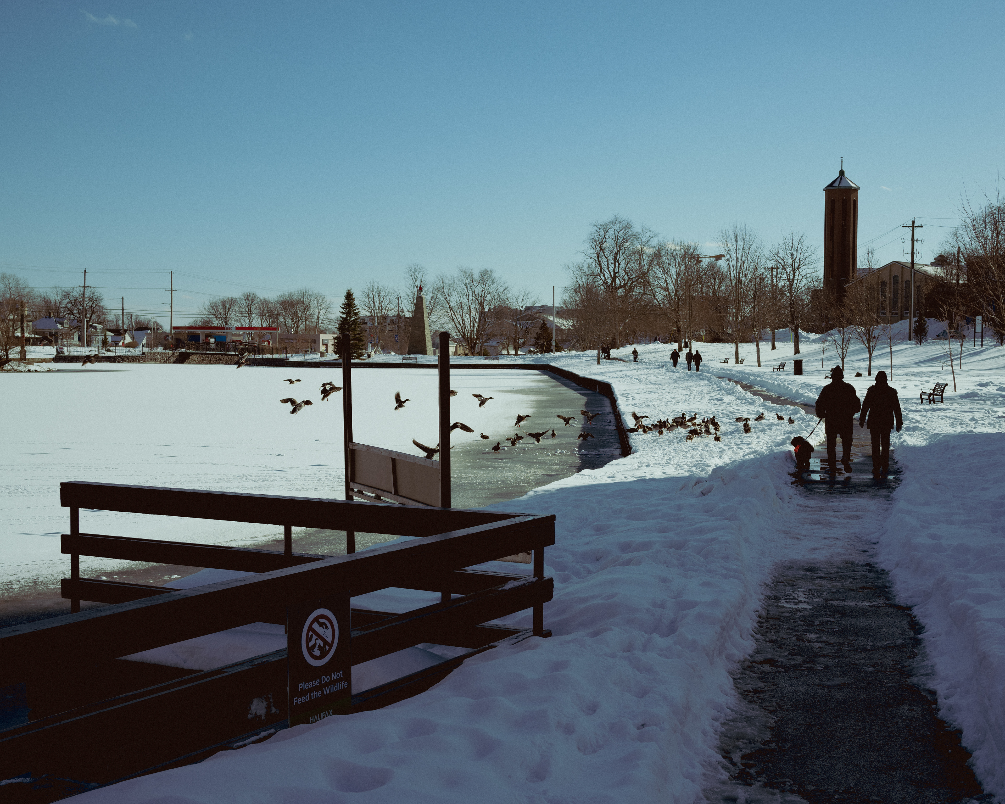 Sullivan's Pond