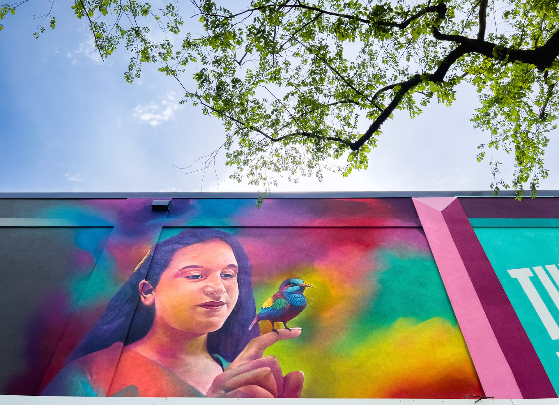 Mural Festival in Halifax