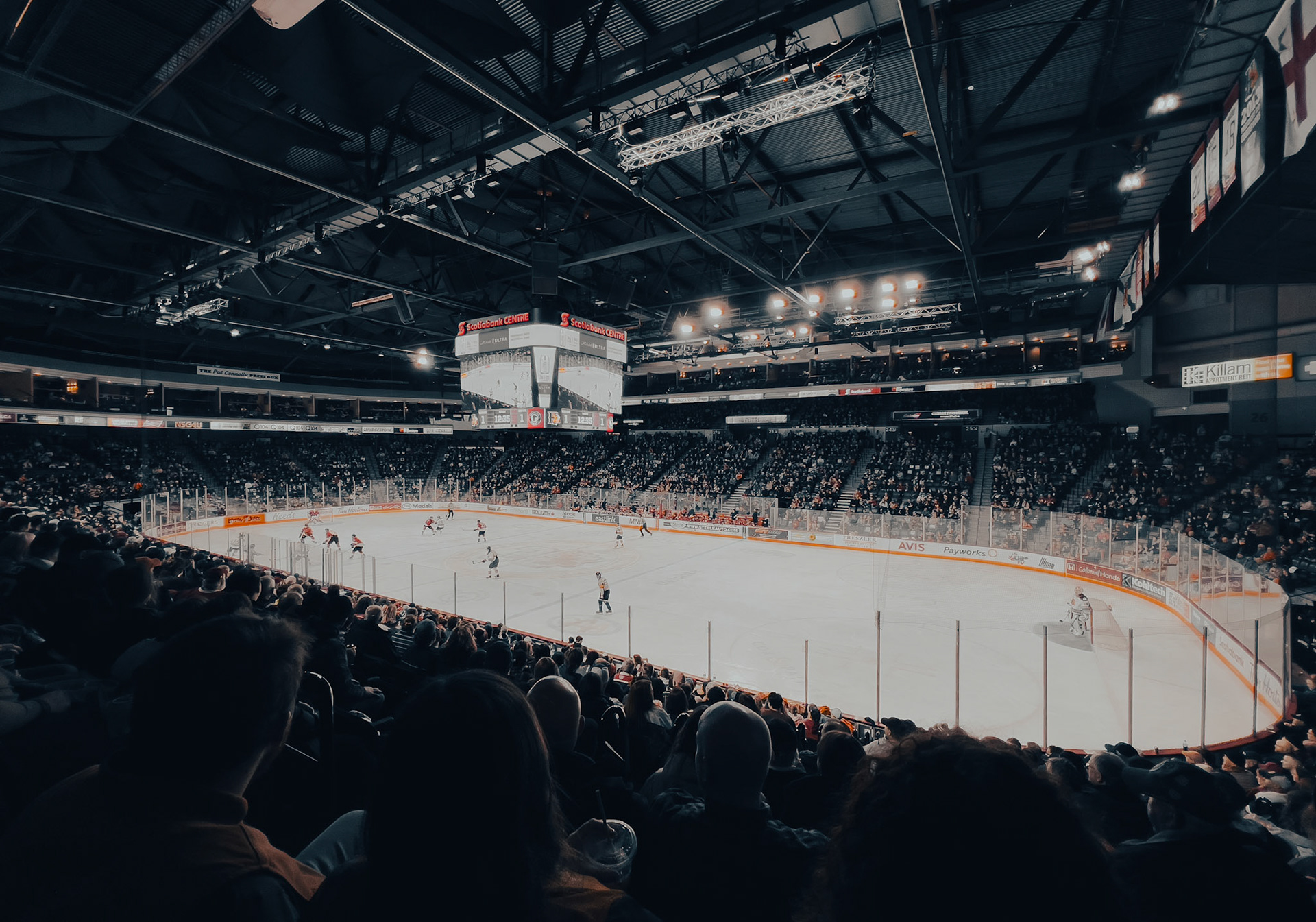 Halifax Mooseheads at the Scotiabank Centre, Halifax