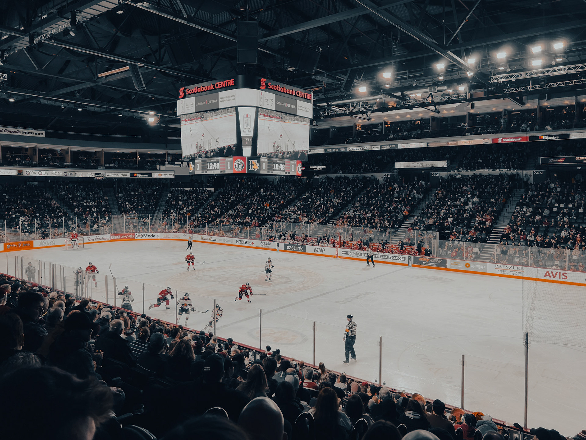 Halifax Mooseheads at the Scotiabank Centre, Halifax