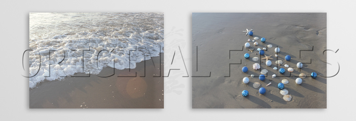 Concepts (2019) — Christmas Cards — Monterey Bay Academy