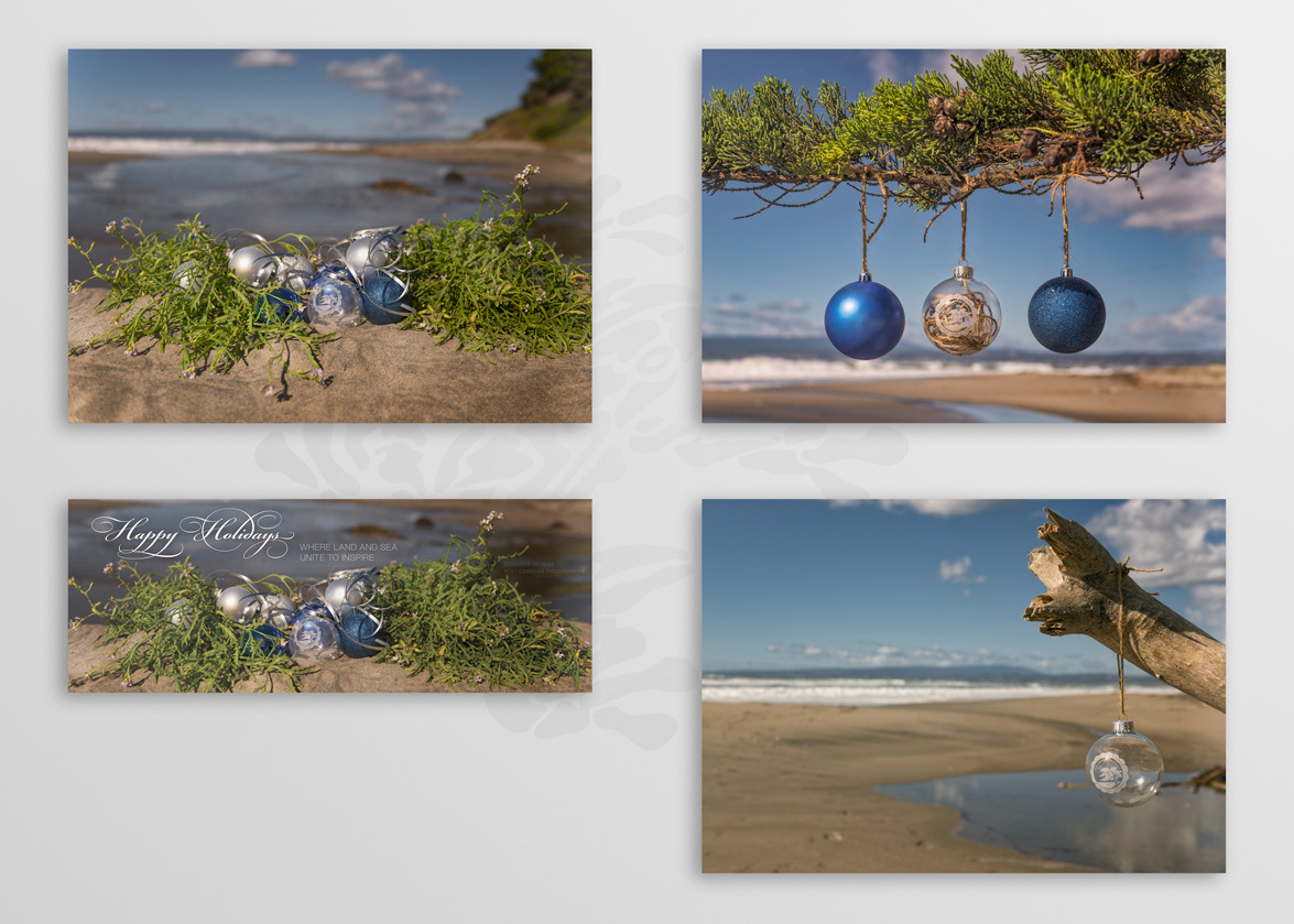 Concepts (2016) — Christmas Cards — Monterey Bay Academy