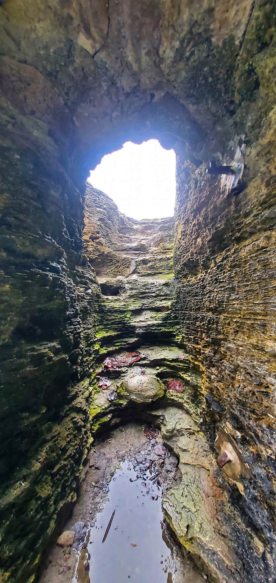 Stairs leading to the cliffs at Admiralty House Park