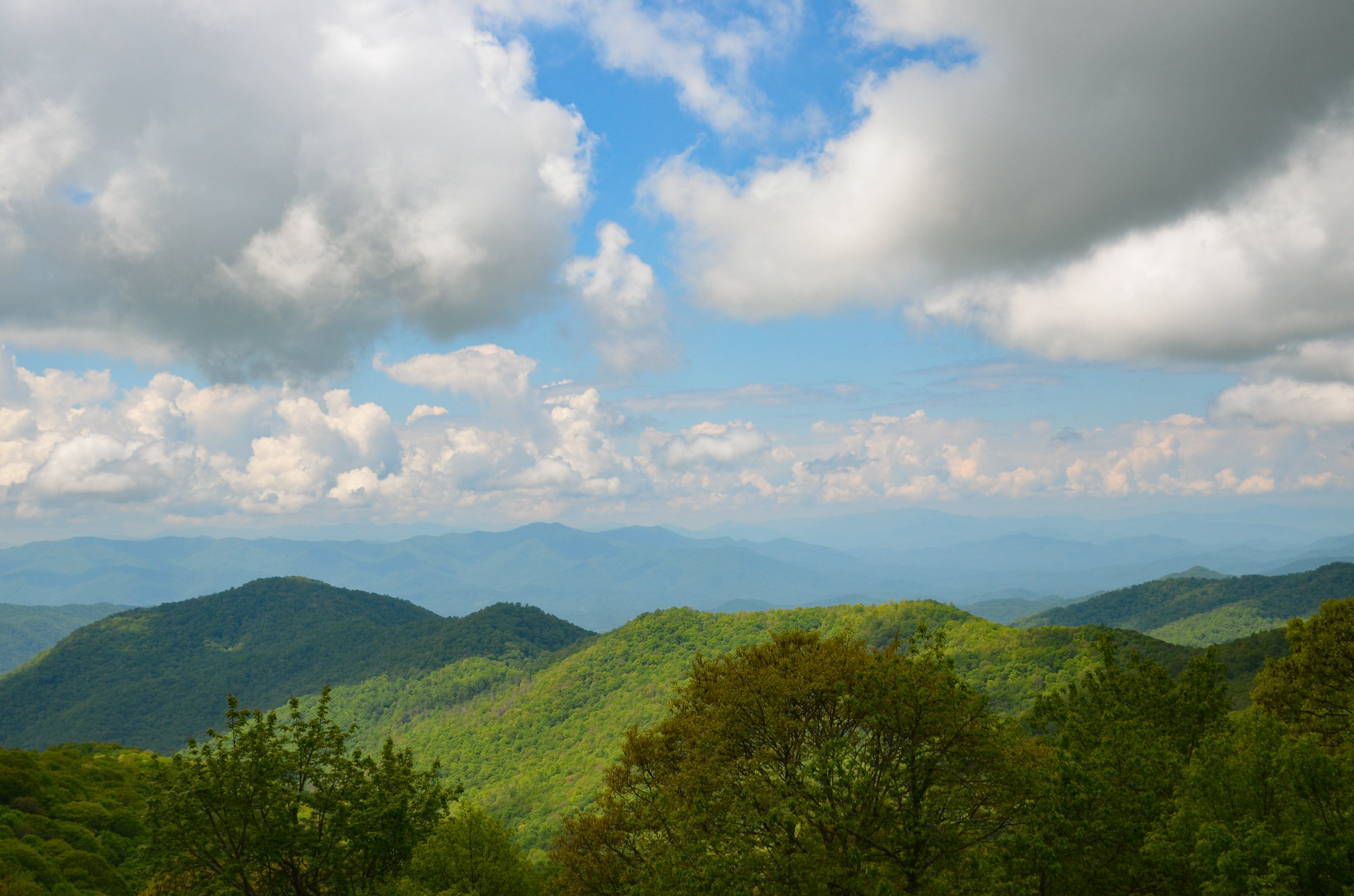 Bunches Bald Overlook - Maggie Valley, Blue Ridge Parkway