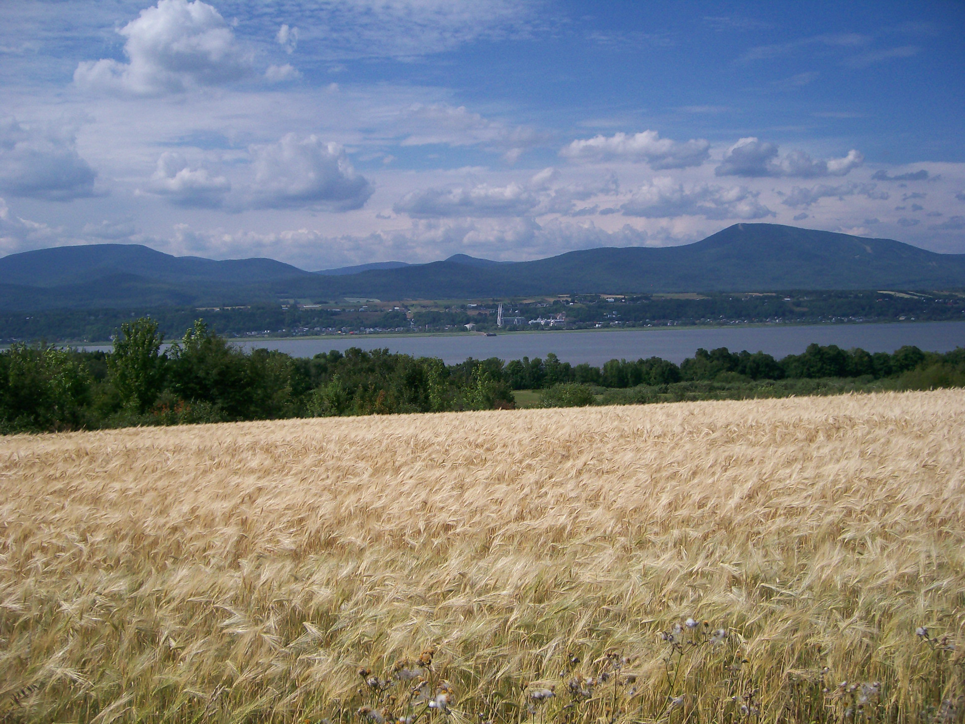 Views of the Ile-d"Orlean