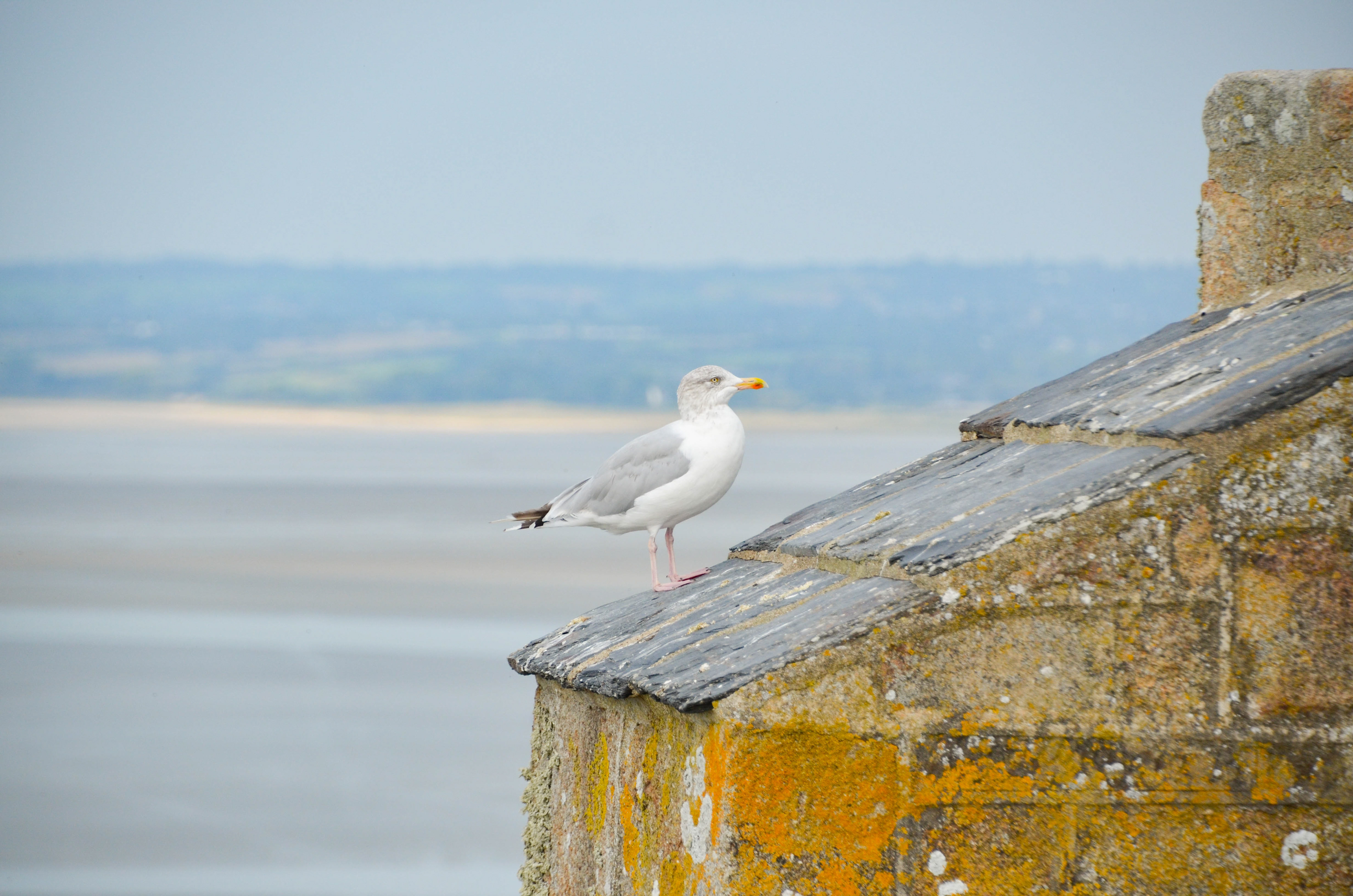 Mont Saint-Michel, Normandy