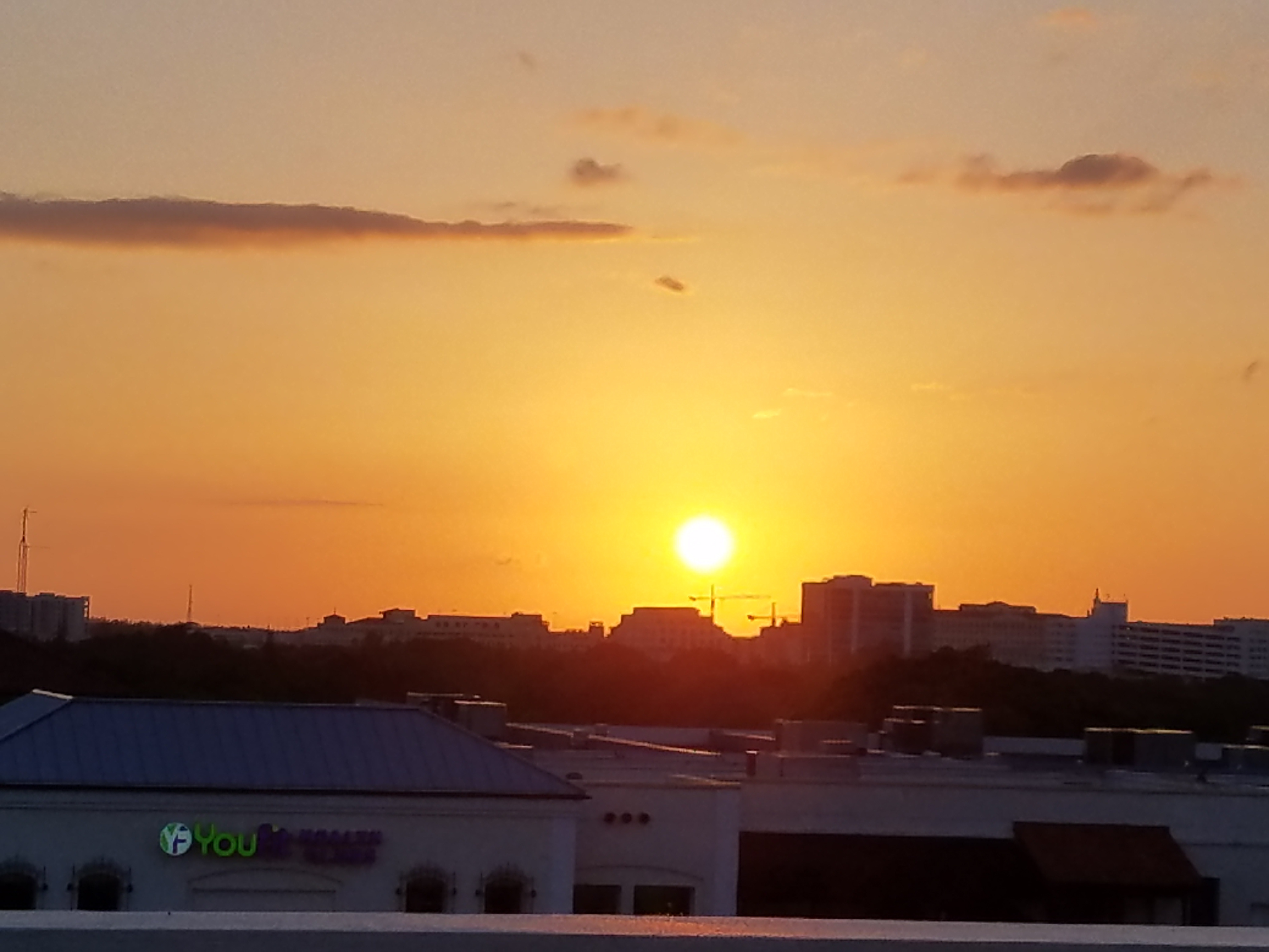 Coconut Grove, Miami