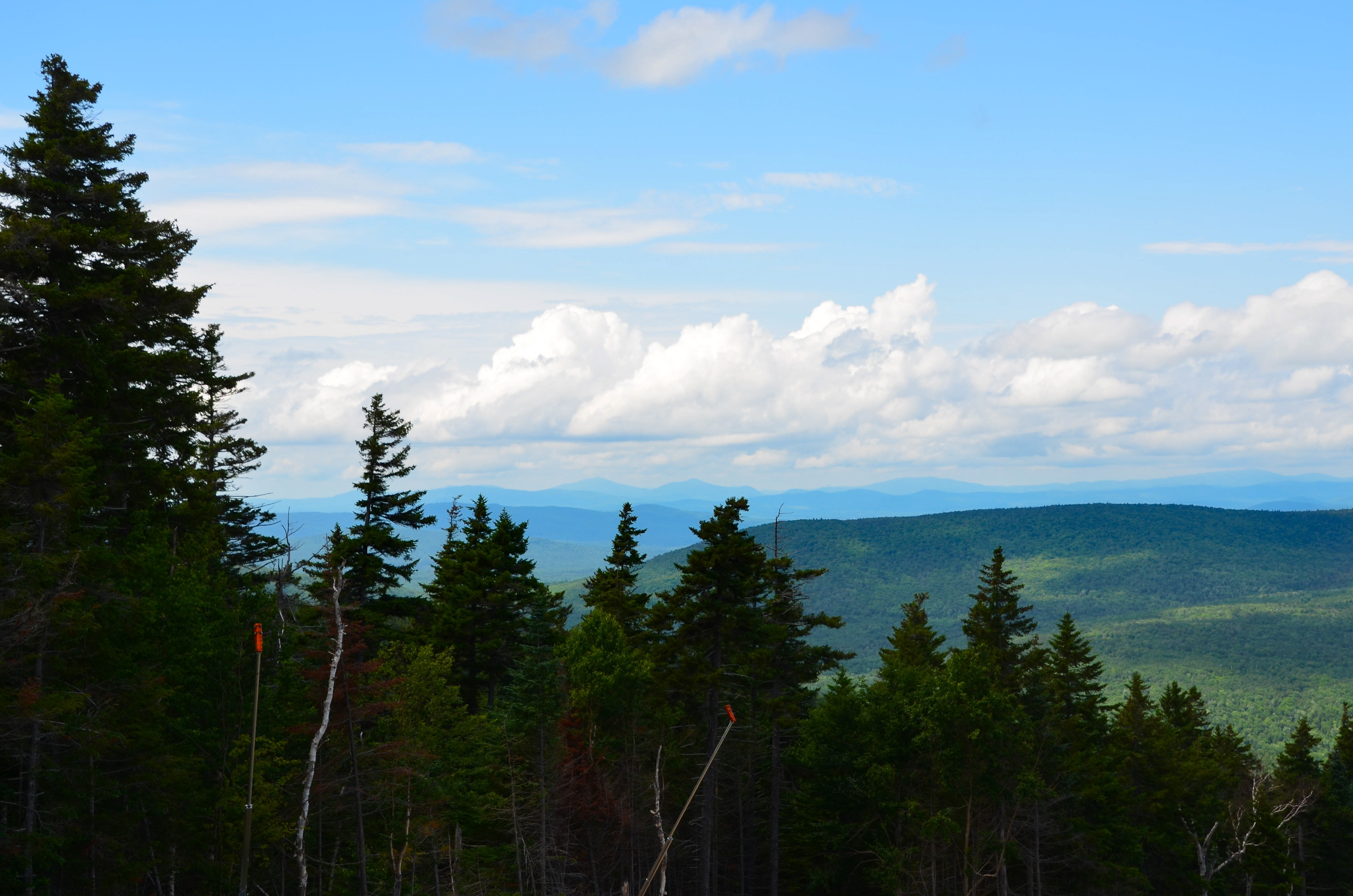 View from Mt. Rosebrook at Bretton Woods