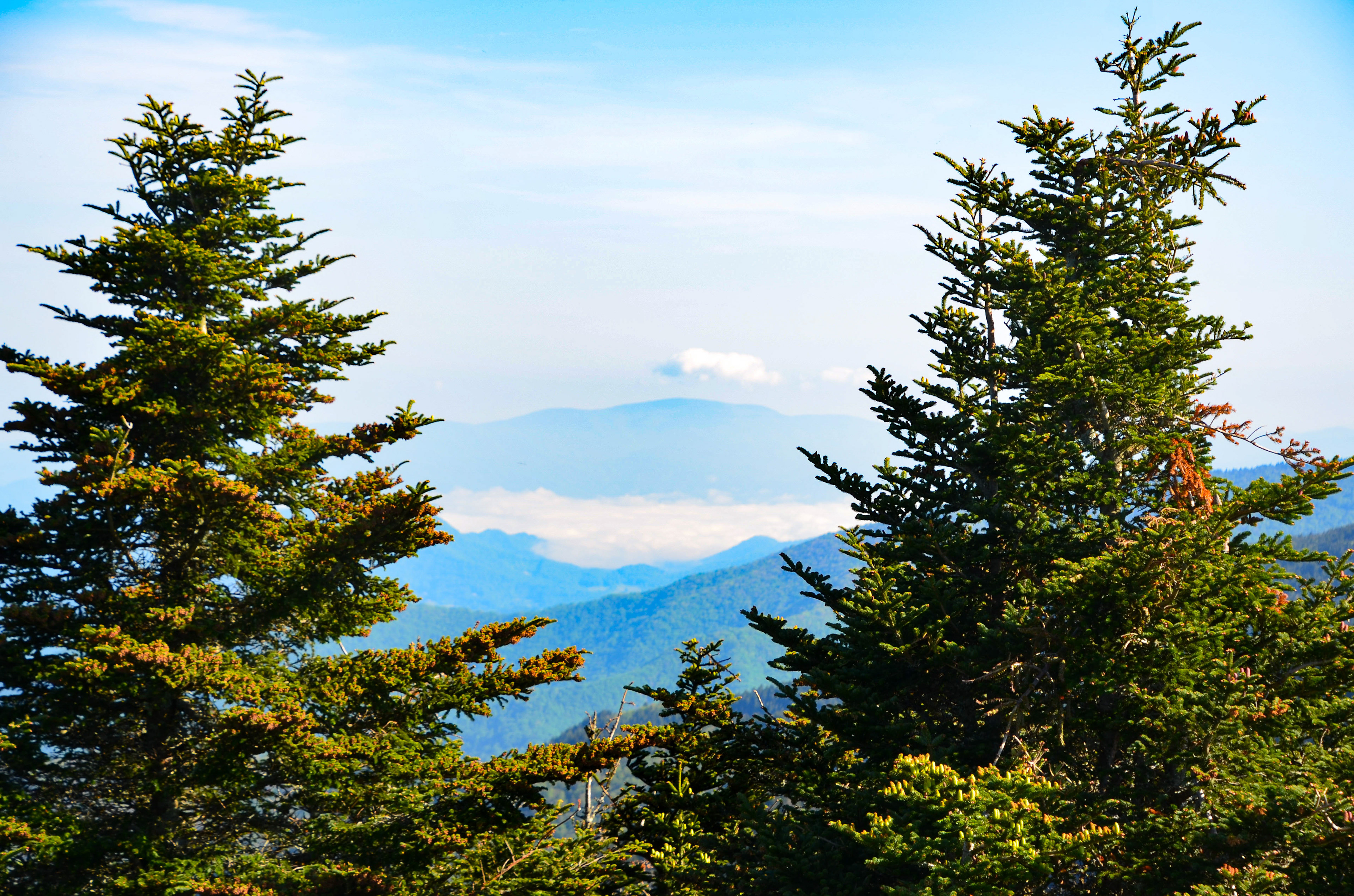 View from Mt. Mitchell, Burnsville - Highest peak east of the Mississippi River