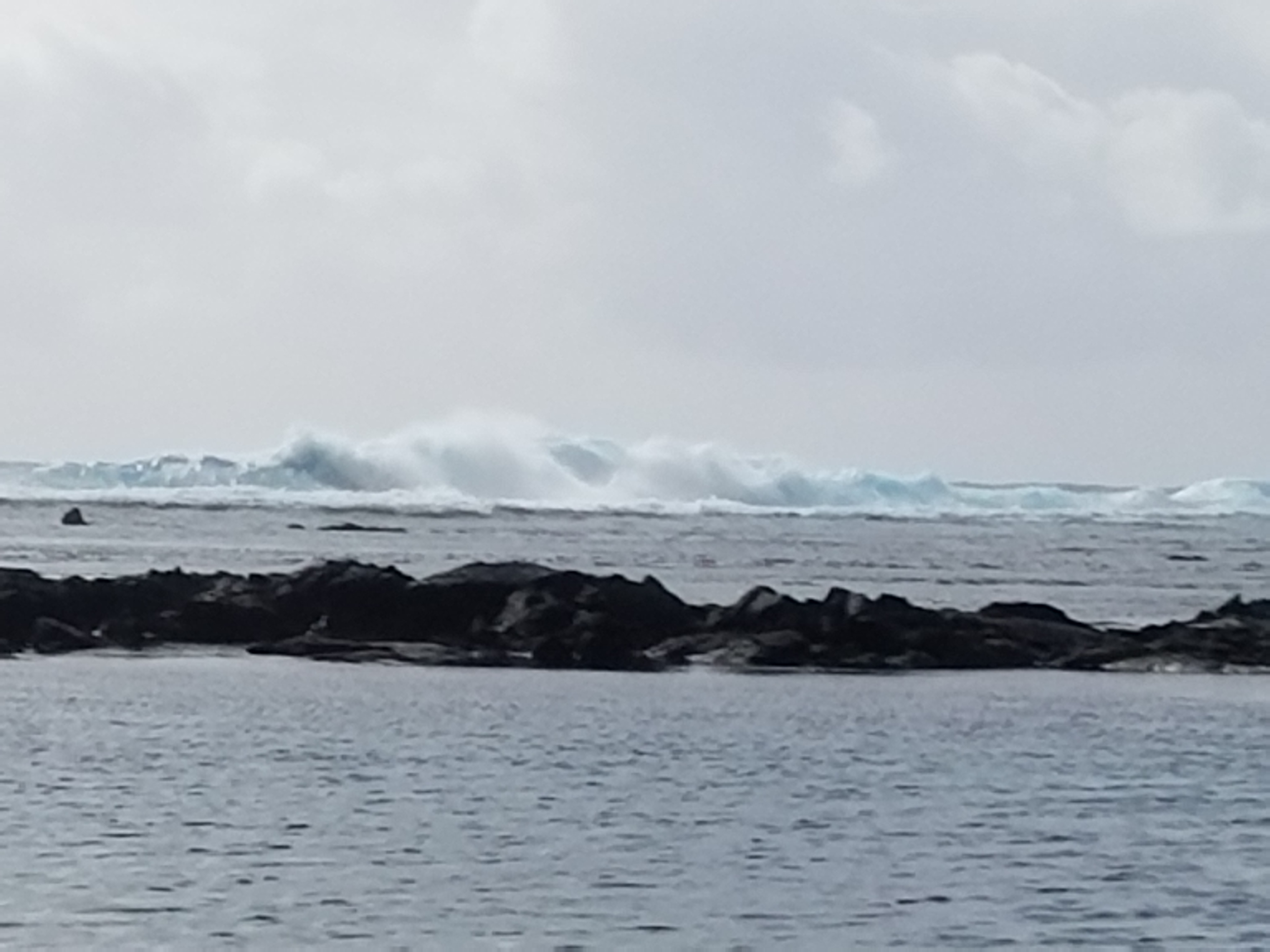 Kapoho Tide Pools, Big Island