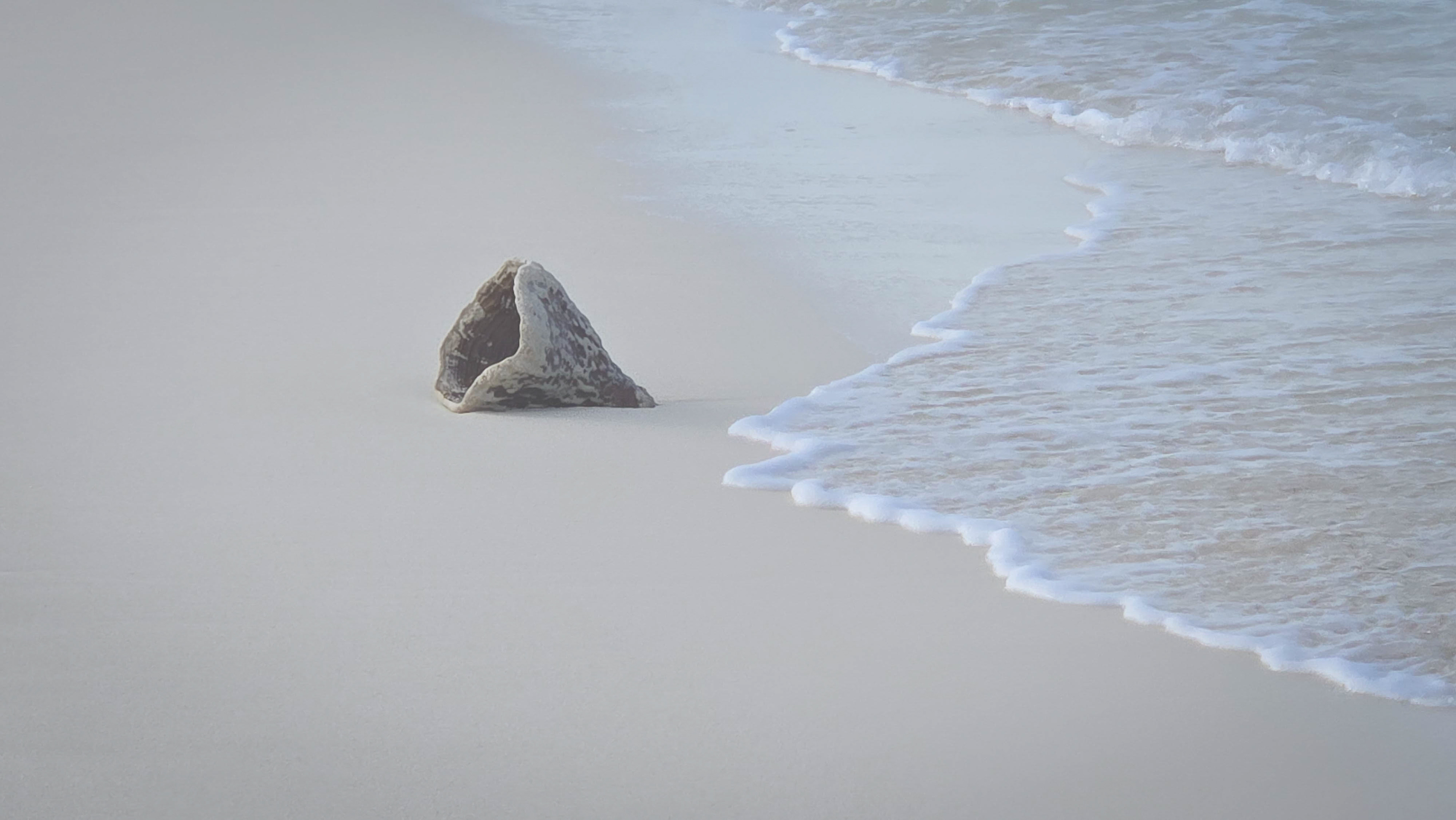 Cocoplum Beach Club, Steventon, Exuma