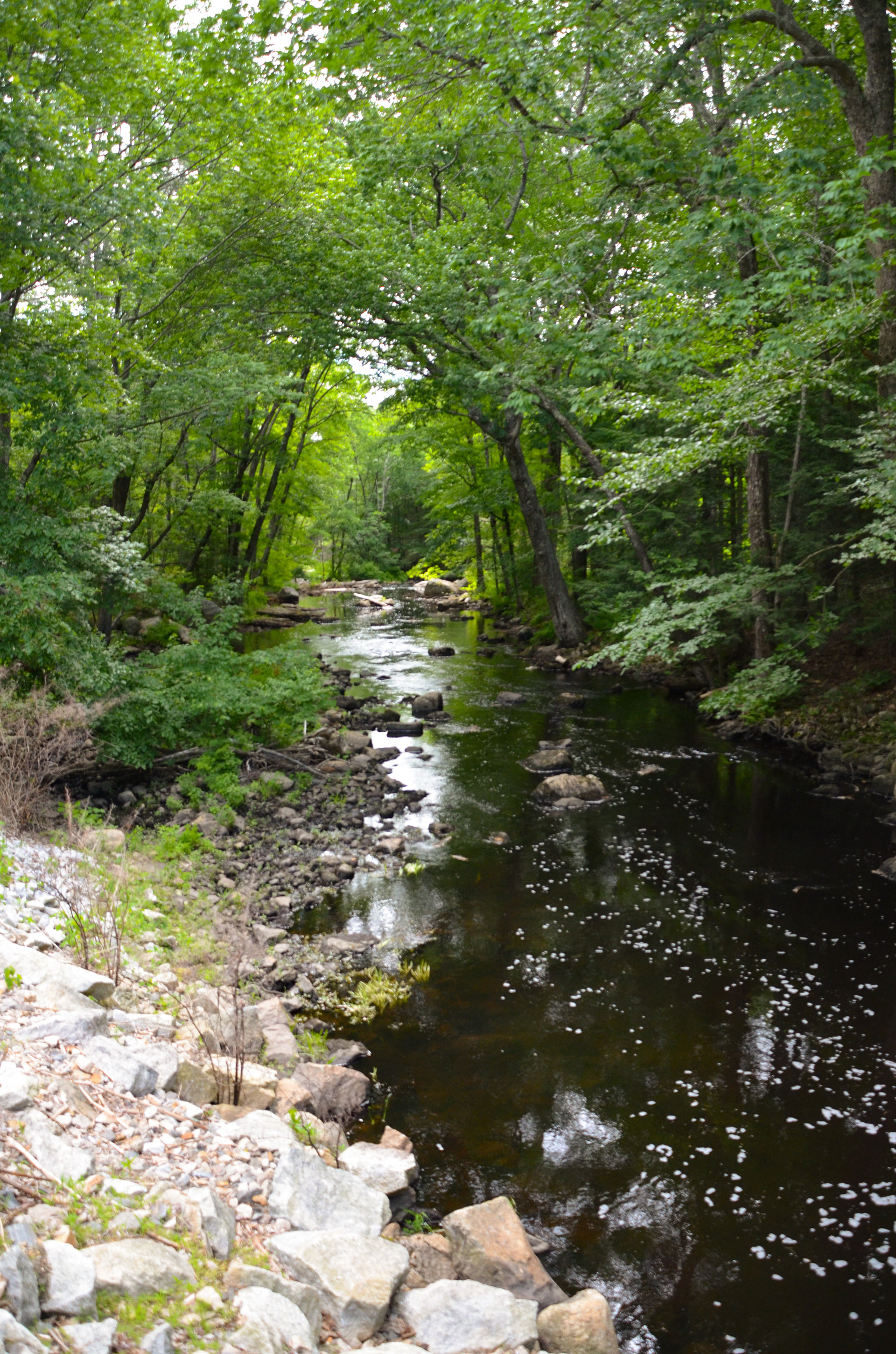 North River
