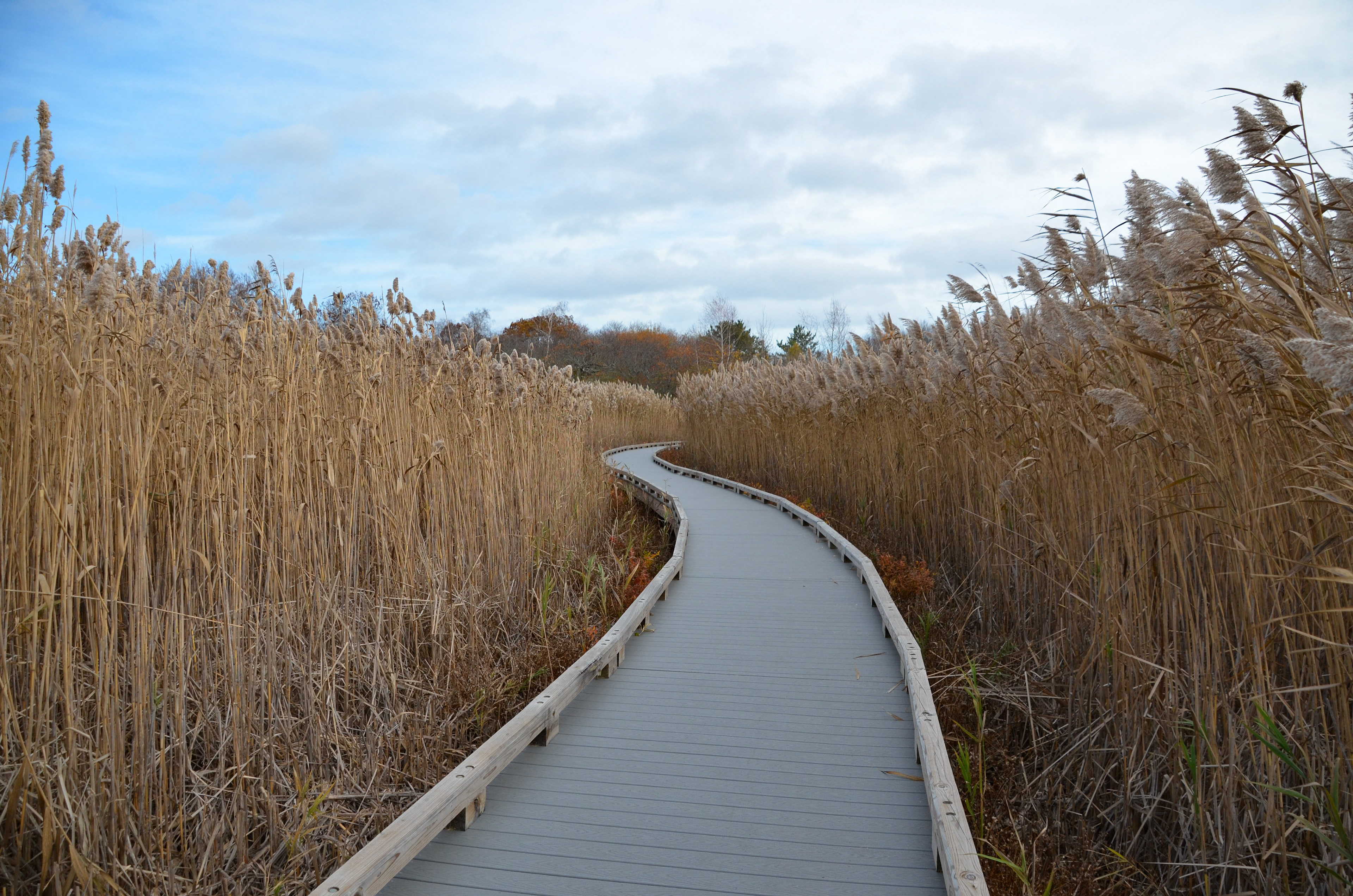 Parker River National Wildlife Refuge, Newbury, MA