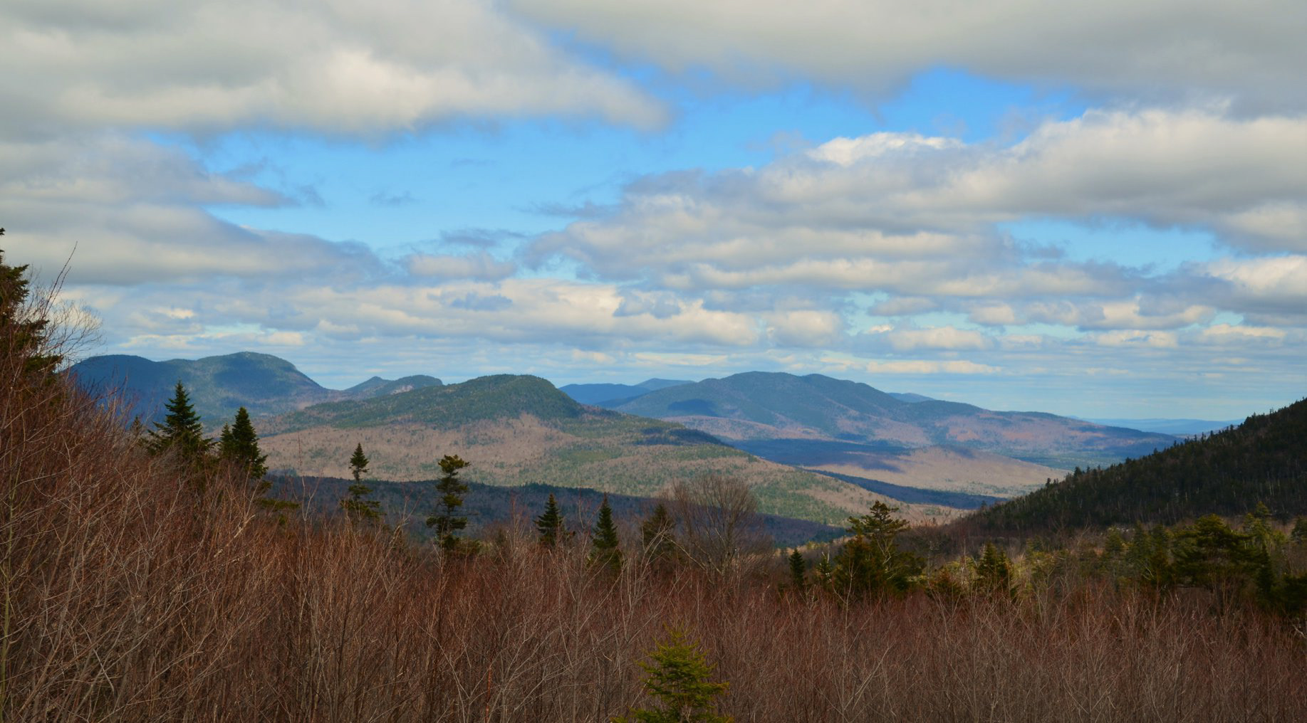 View from C. L. Graham Wangan Overlook