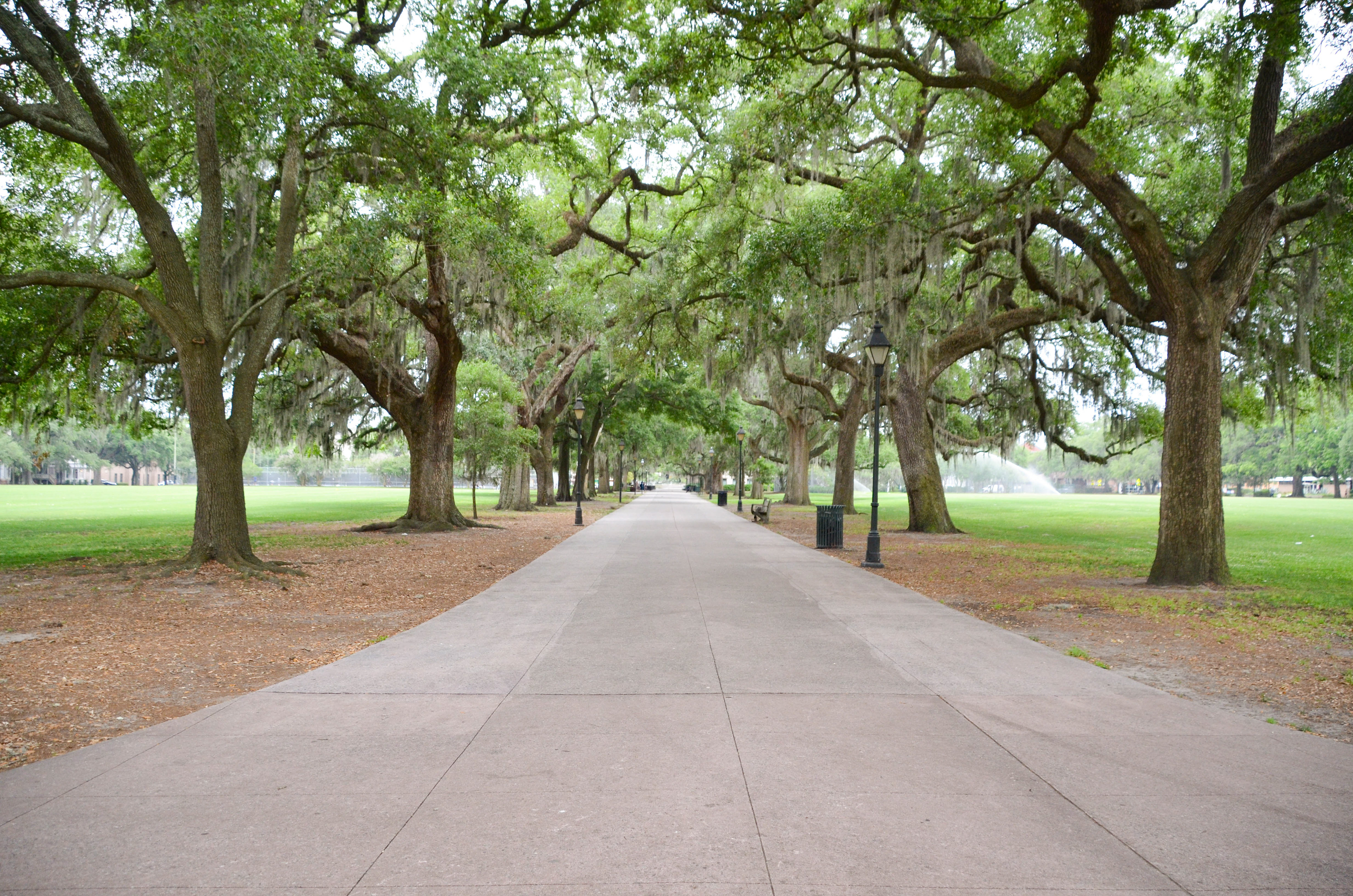 Forsyth Park - Savannah
