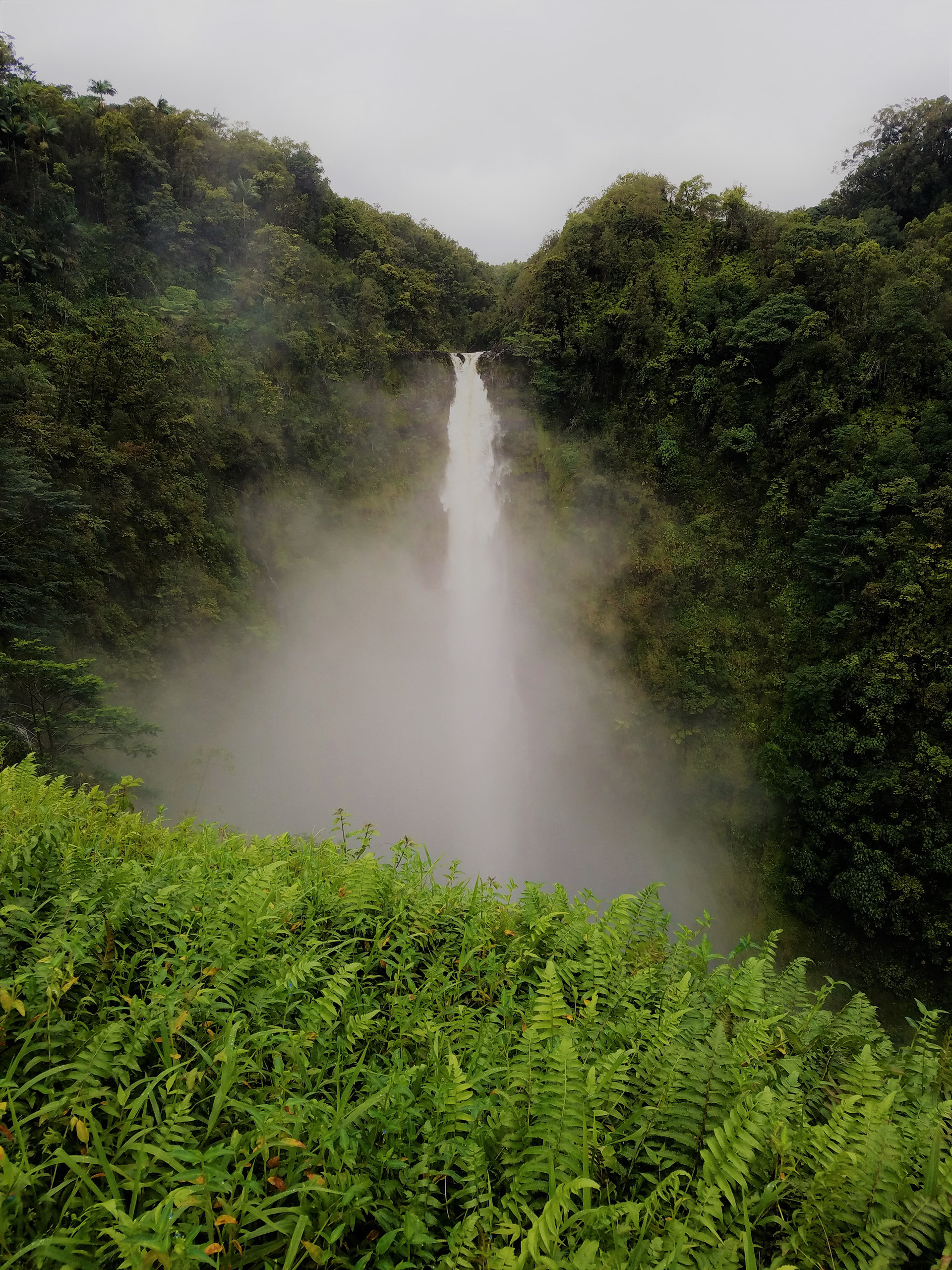 'Akaka Falls, Big Island